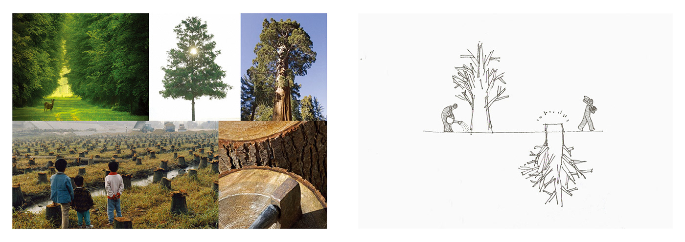 lamps and lanterns，lighting，tree，ROOT，