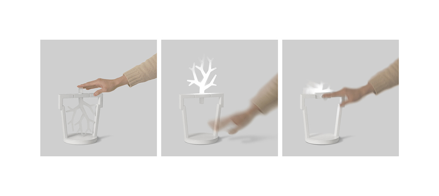 lamps and lanterns，lighting，tree，ROOT，