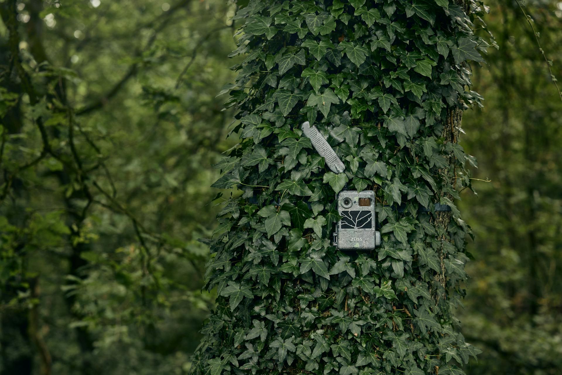 4G camera，Infrared Camera，Hunting camera，