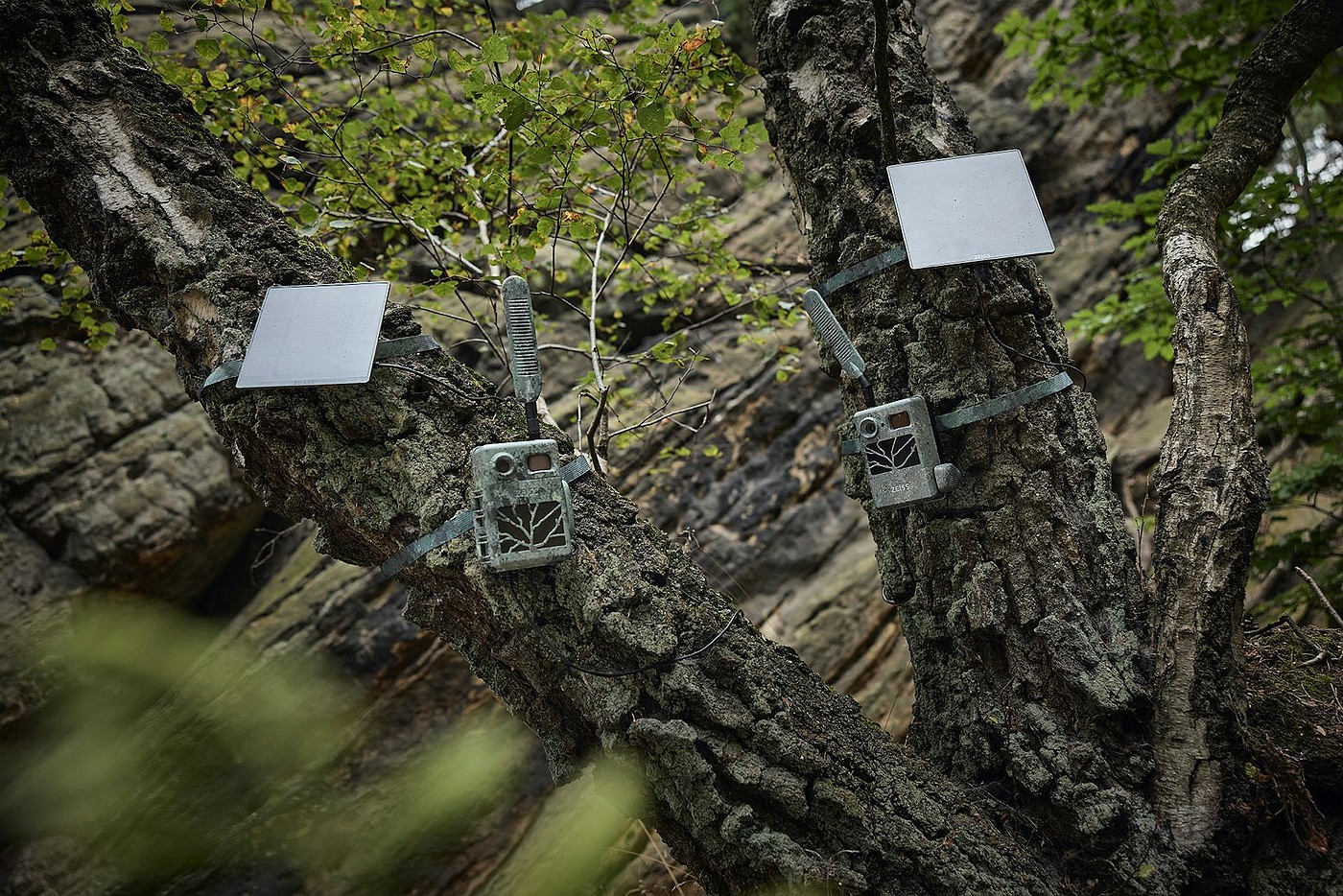 4G camera，Infrared Camera，Hunting camera，