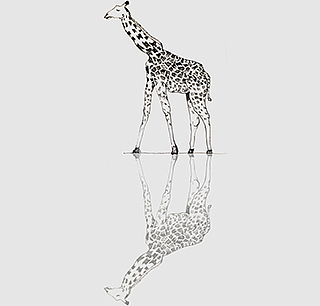 details，Lining，image，MIRRORED，delicate，thinking，