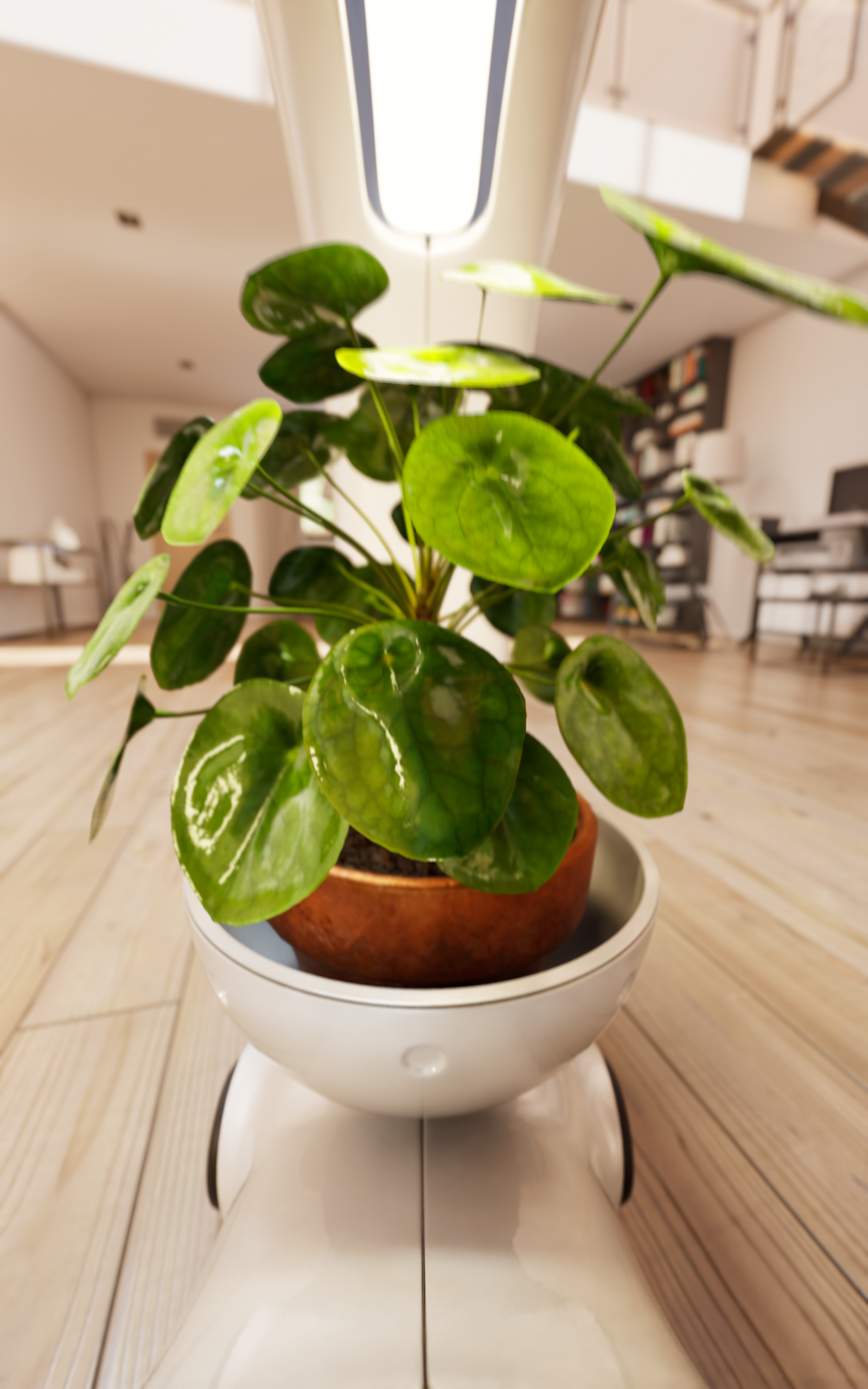 Botany，robot，Robot dog，Potted plants，