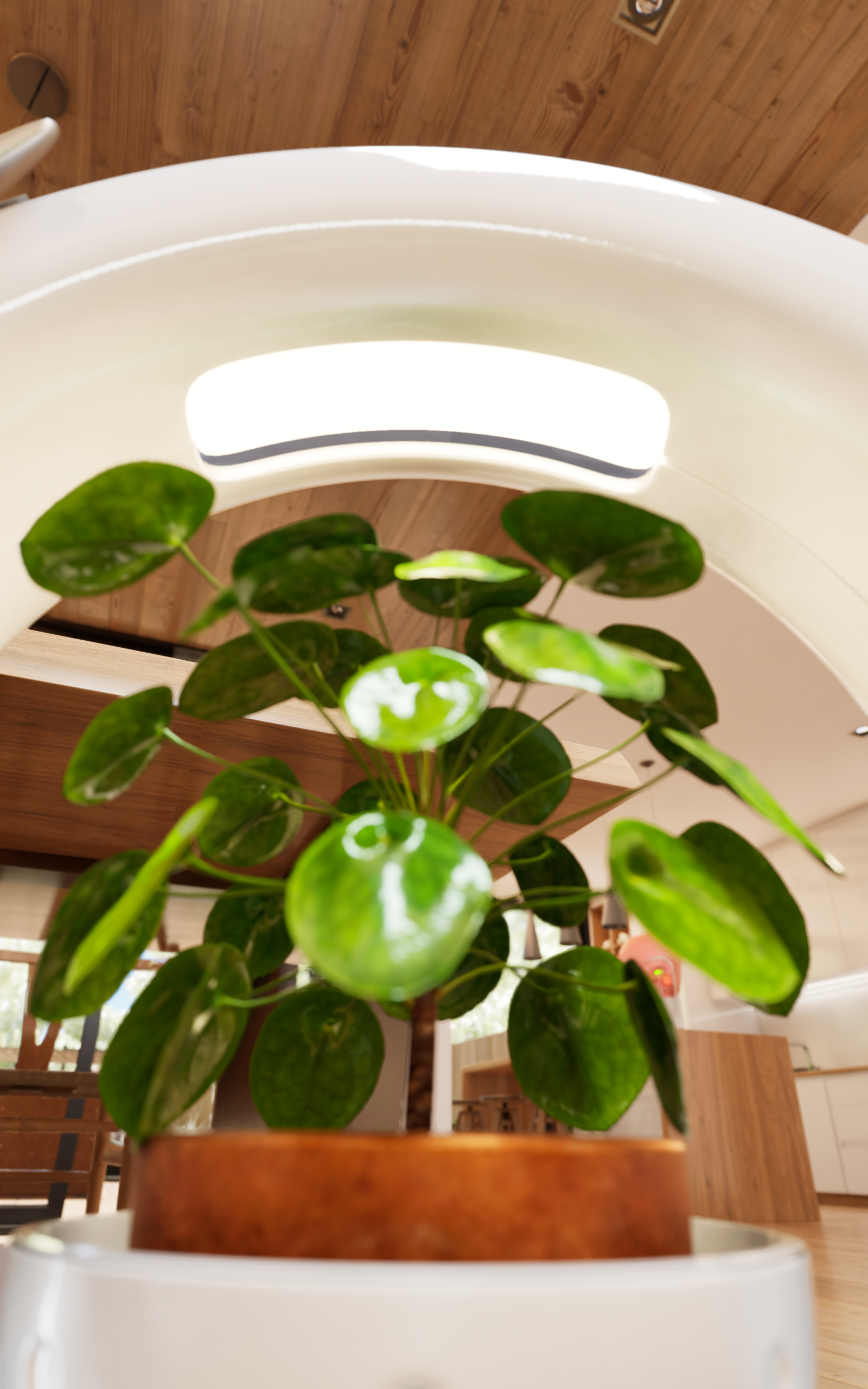 Botany，robot，Robot dog，Potted plants，