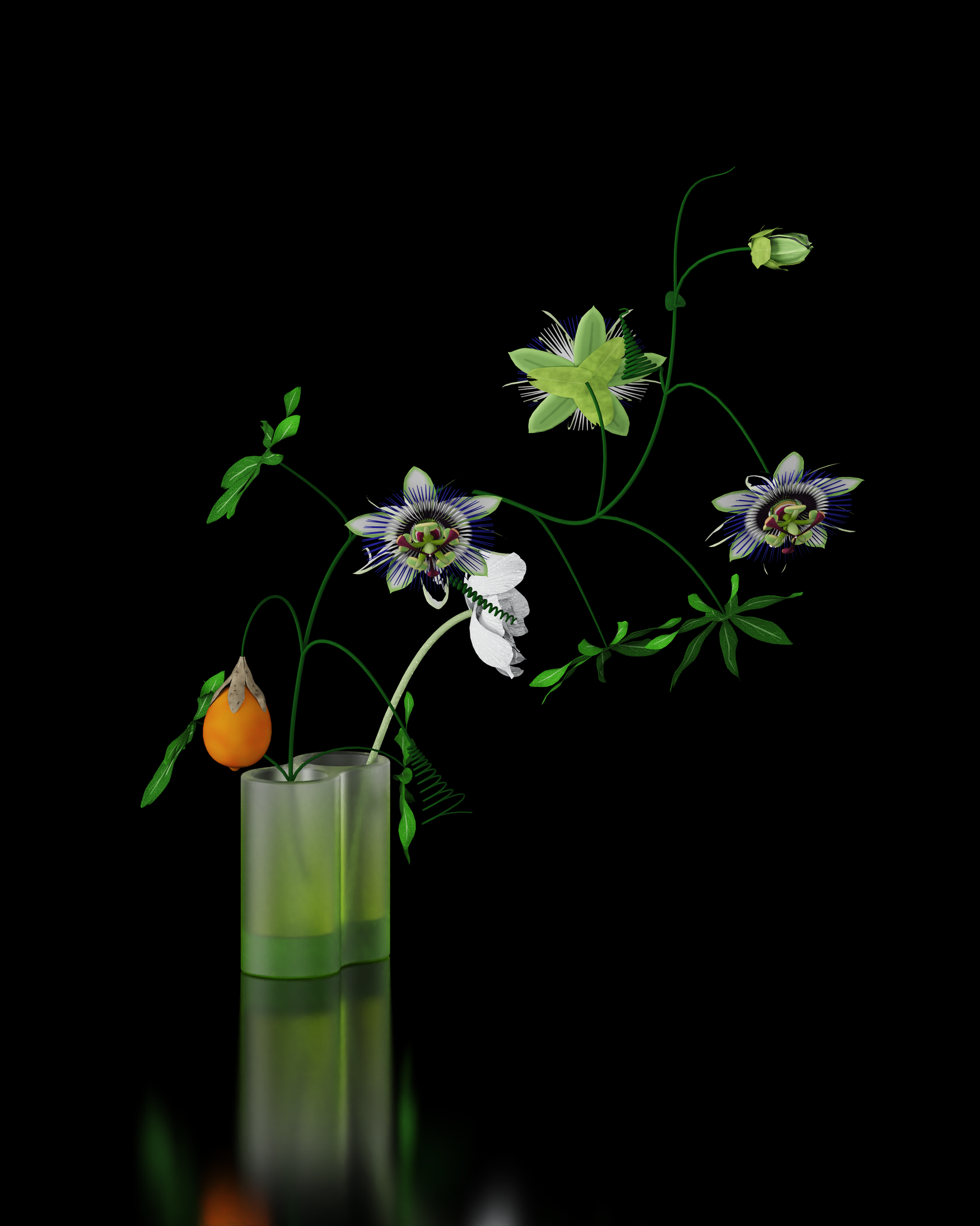 Innovative design，seed germ，Field Museum，Plant World Exhibition，