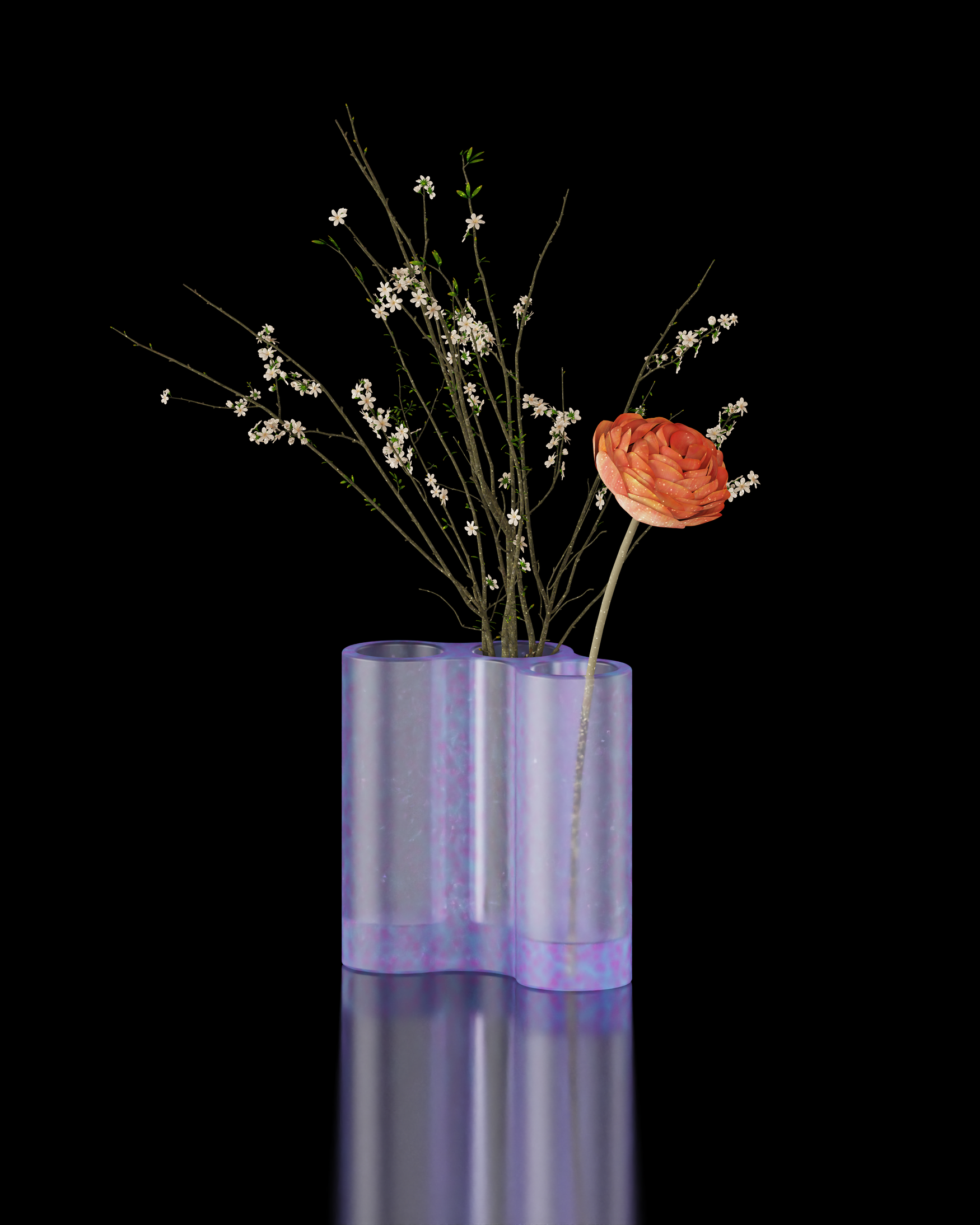 Innovative design，seed germ，Field Museum，Plant World Exhibition，