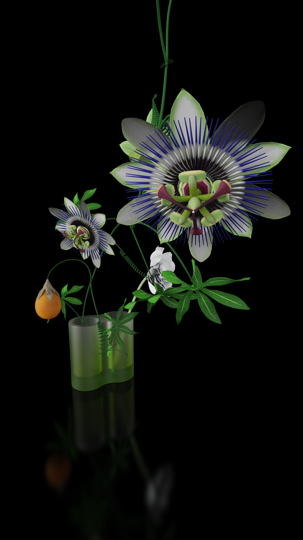 Innovative design，seed germ，Field Museum，Plant World Exhibition，