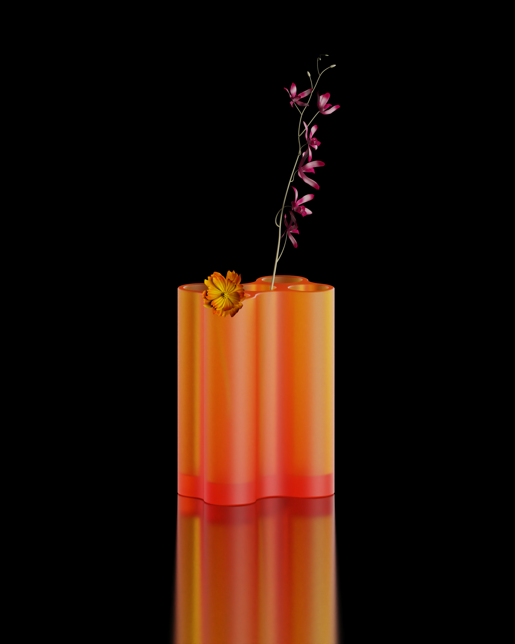 Innovative design，seed germ，Field Museum，Plant World Exhibition，