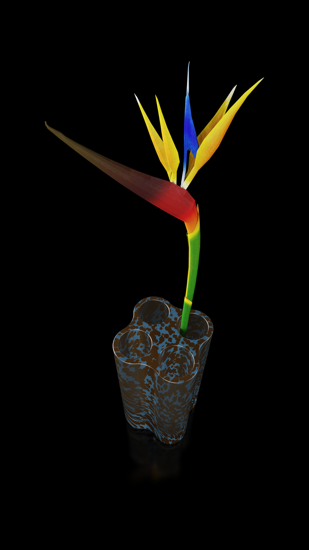 Innovative design，seed germ，Field Museum，Plant World Exhibition，