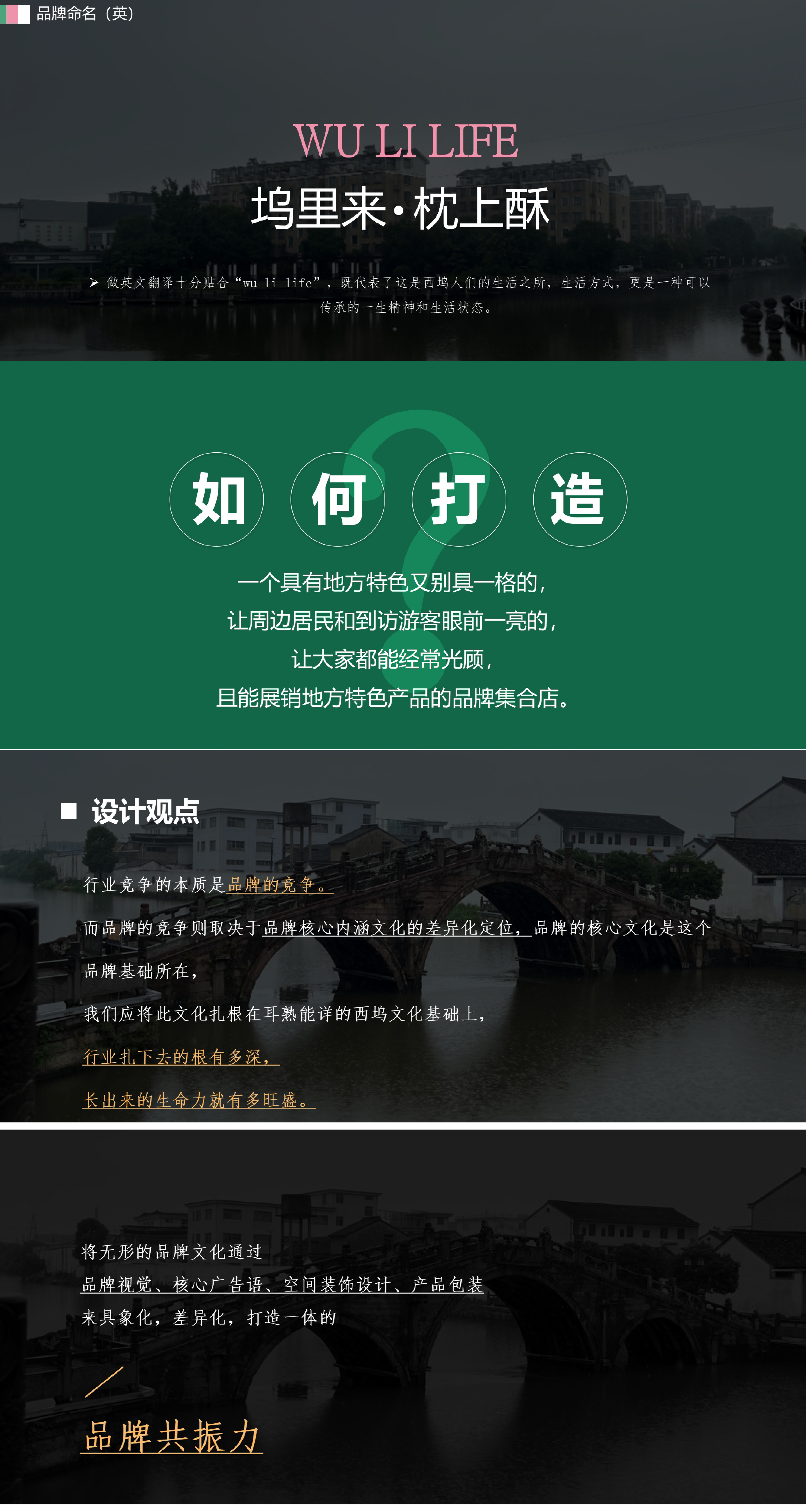 Brand planning, design services, packaging, rural revitalization features，