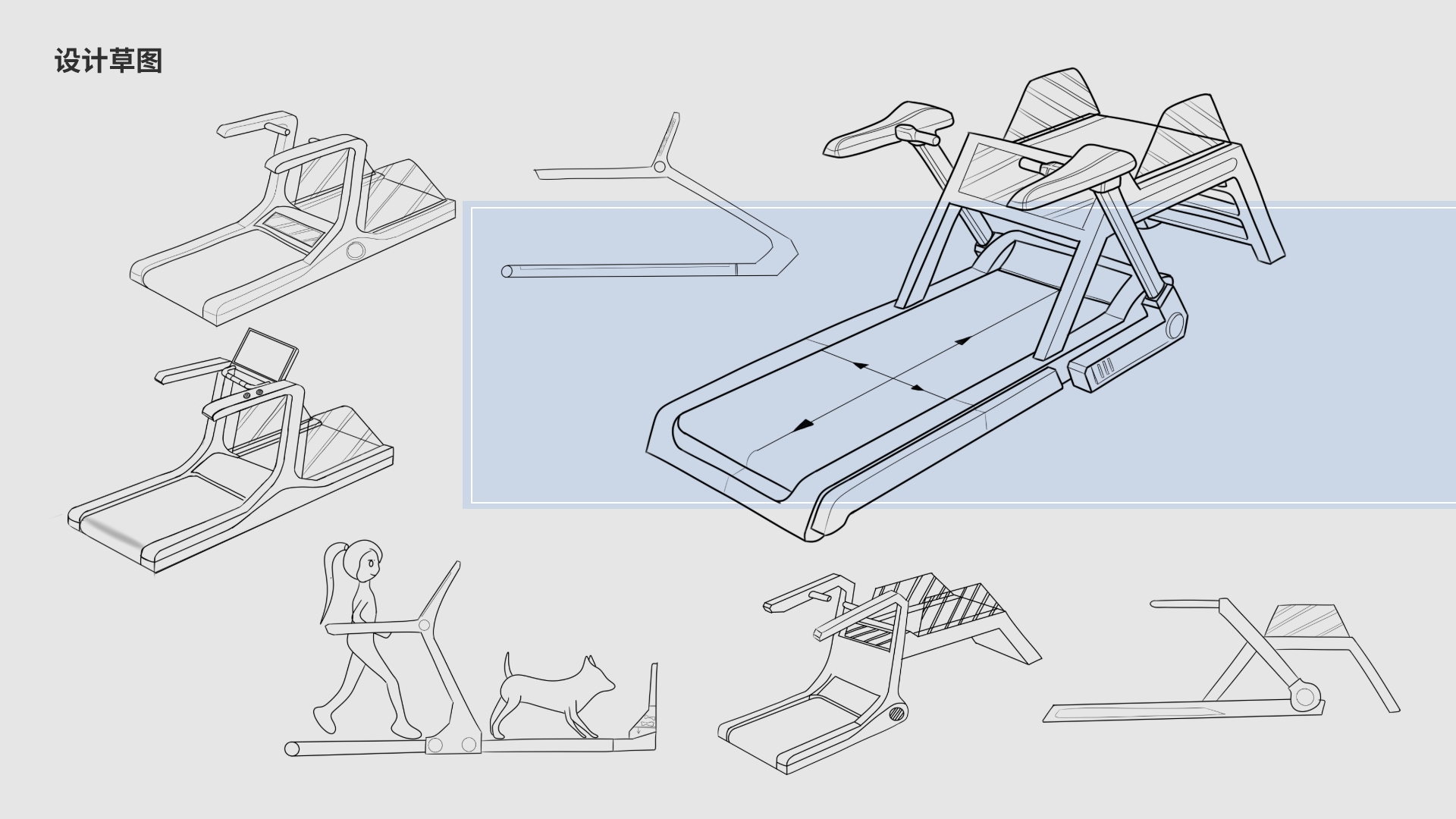human pet symbiosis，