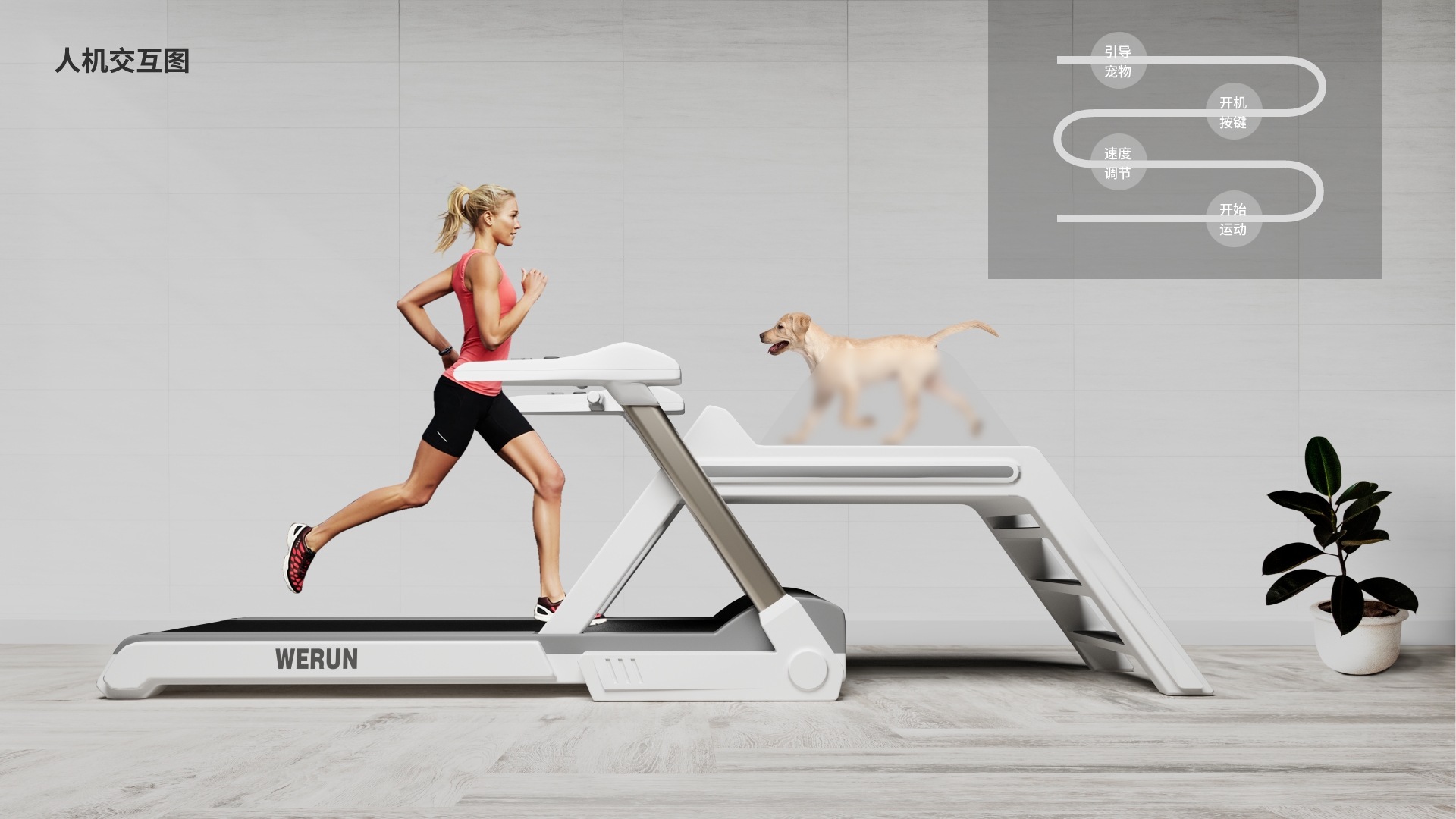 human pet symbiosis，