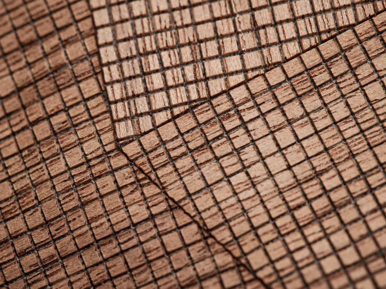 clothes，Jacket，Wooden Jacket，originality，