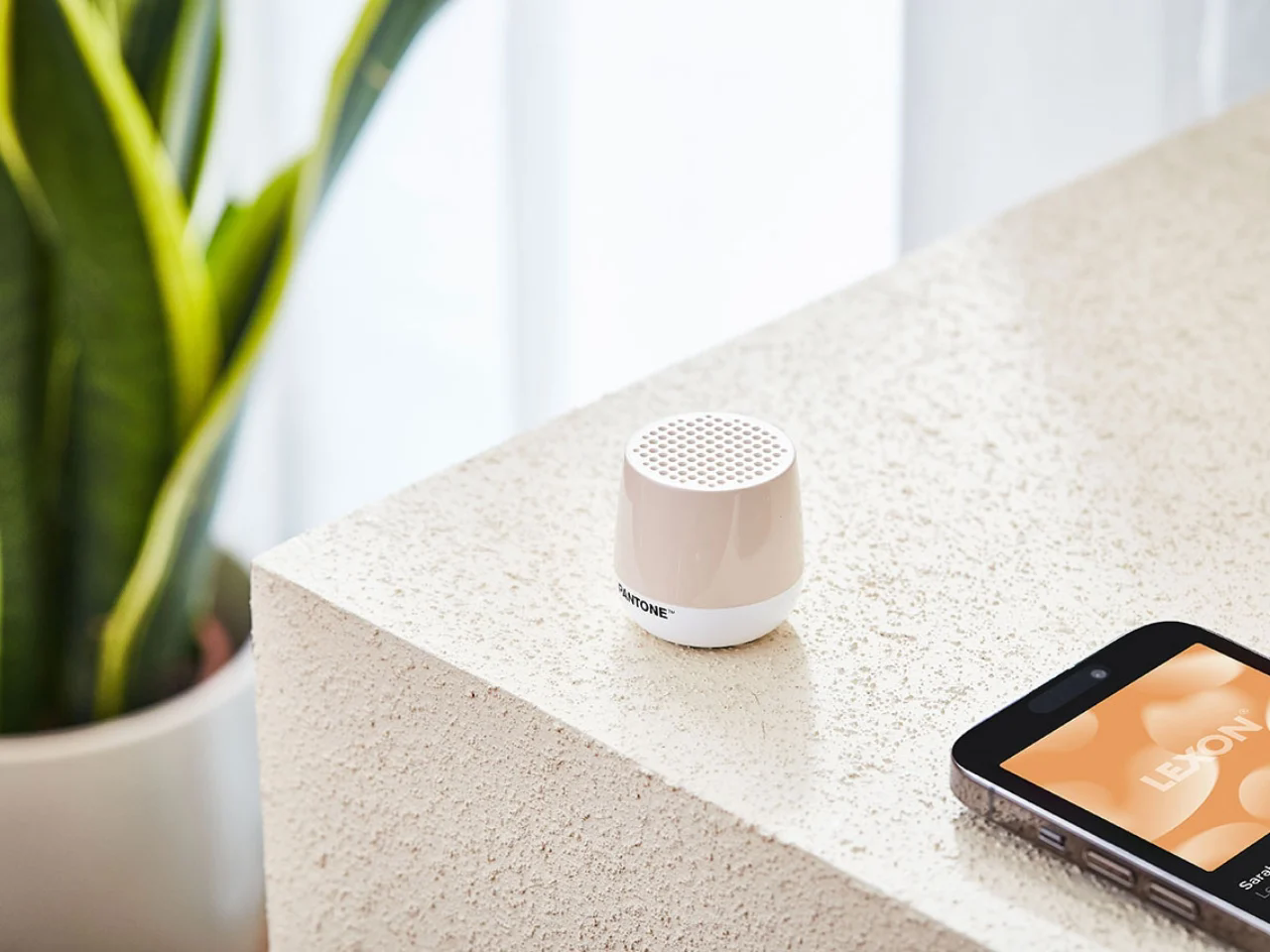 LEXON，small home appliances，Housewear & Furnishings，originality，