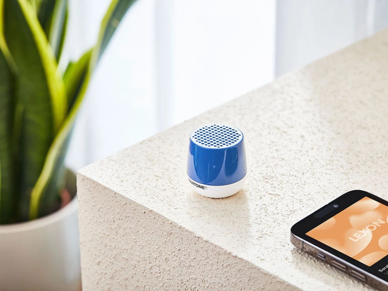 LEXON，small home appliances，Housewear & Furnishings，originality，