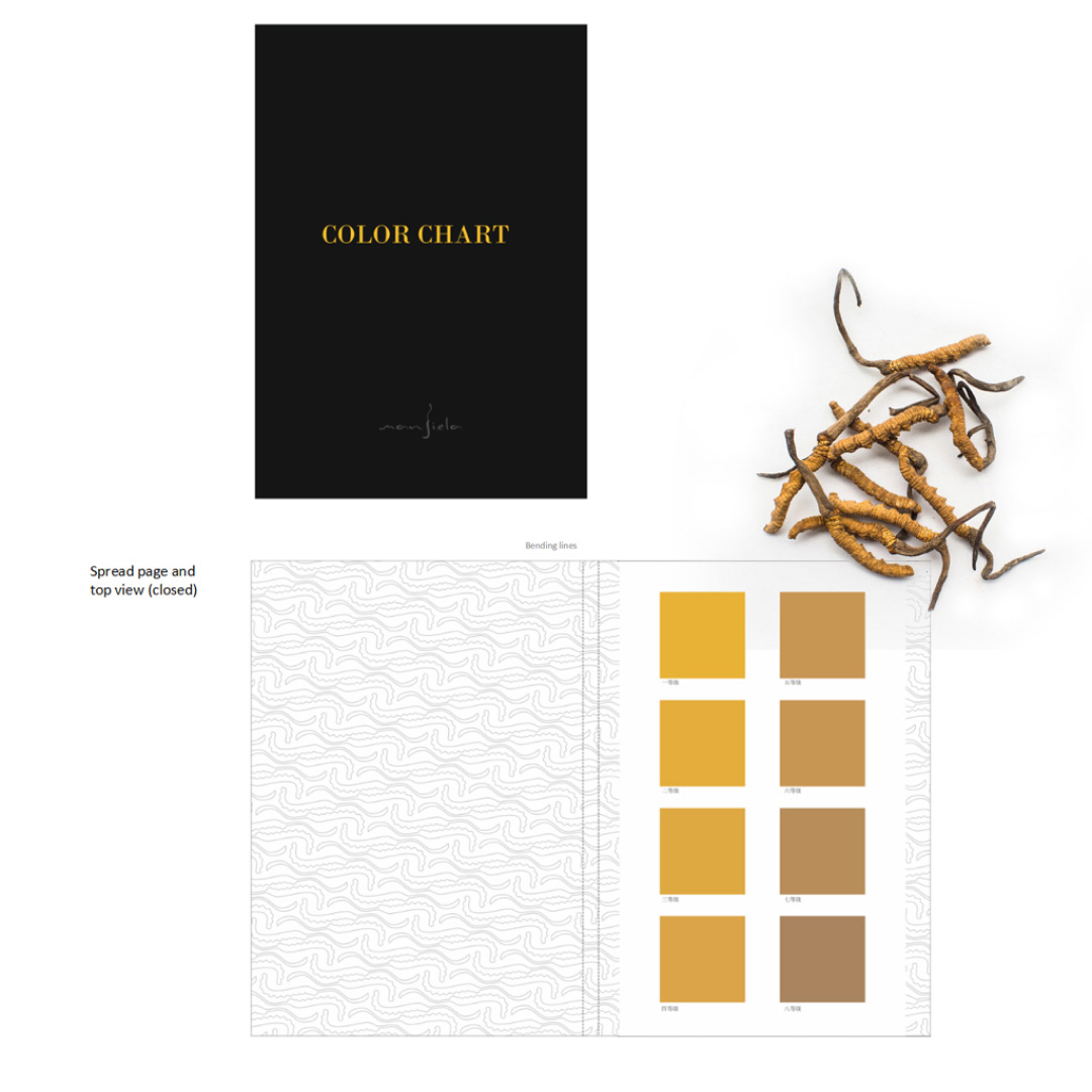 Brand design，VI design，Visual design，Graphic Artist Designer，Italian original design，