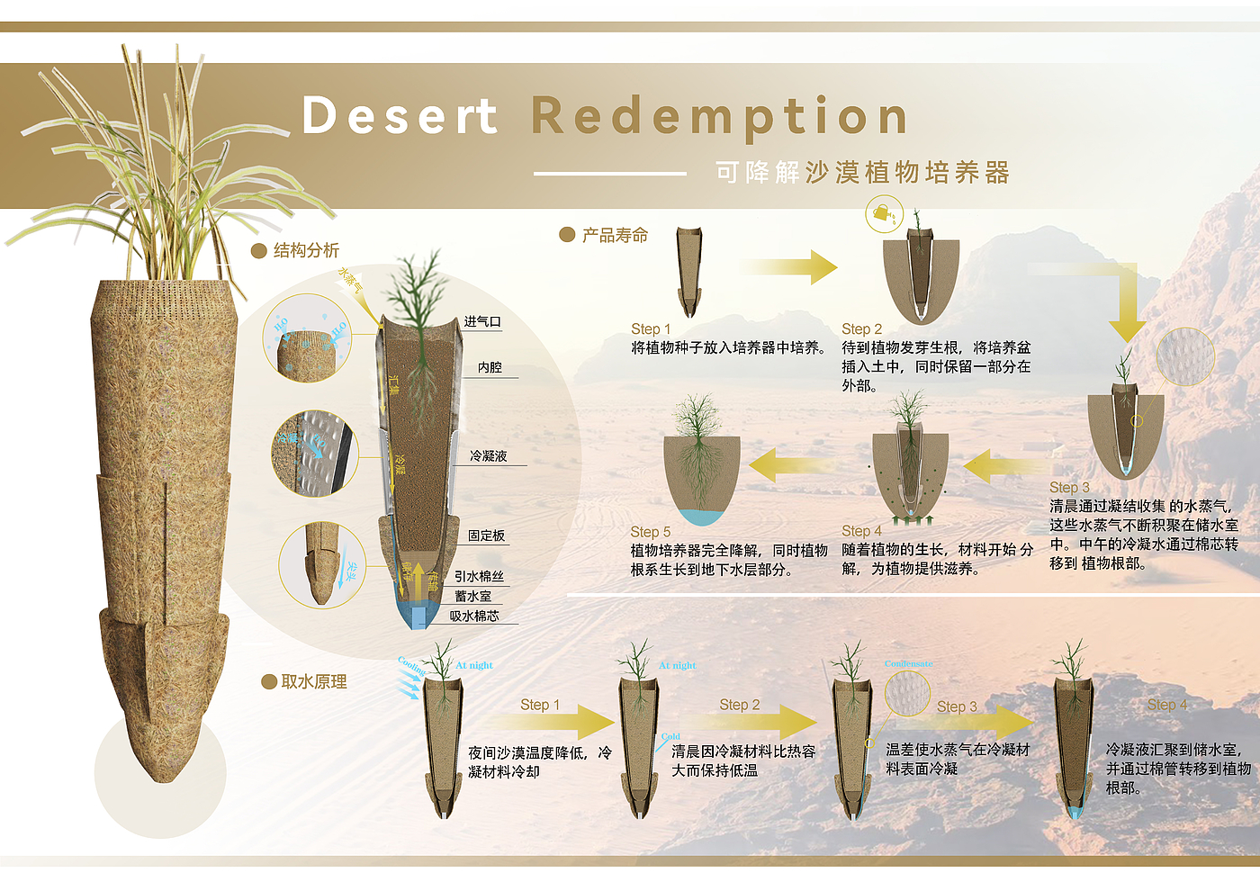 desert，