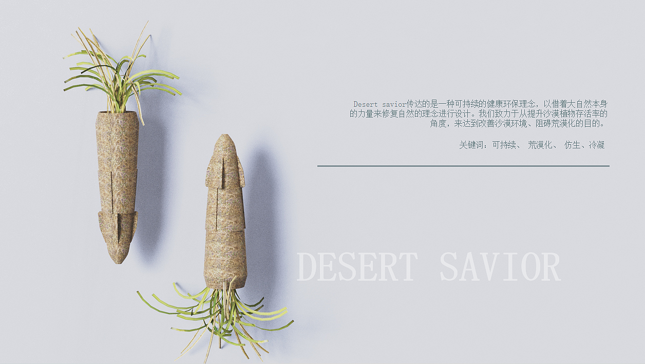 desert，