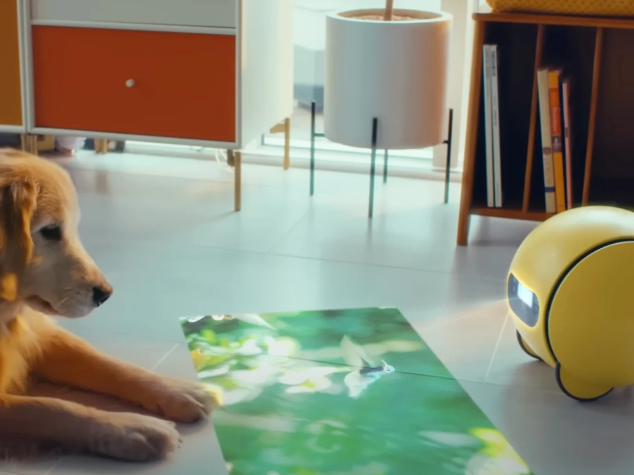 Projector，AI robot，Mobile Assistant，ecological integration，