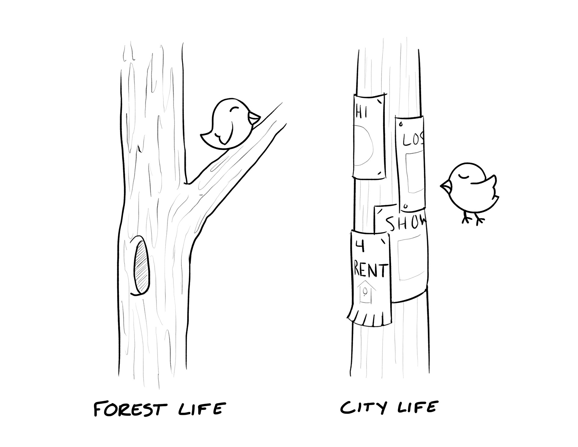 product design，aviary，Flyers，