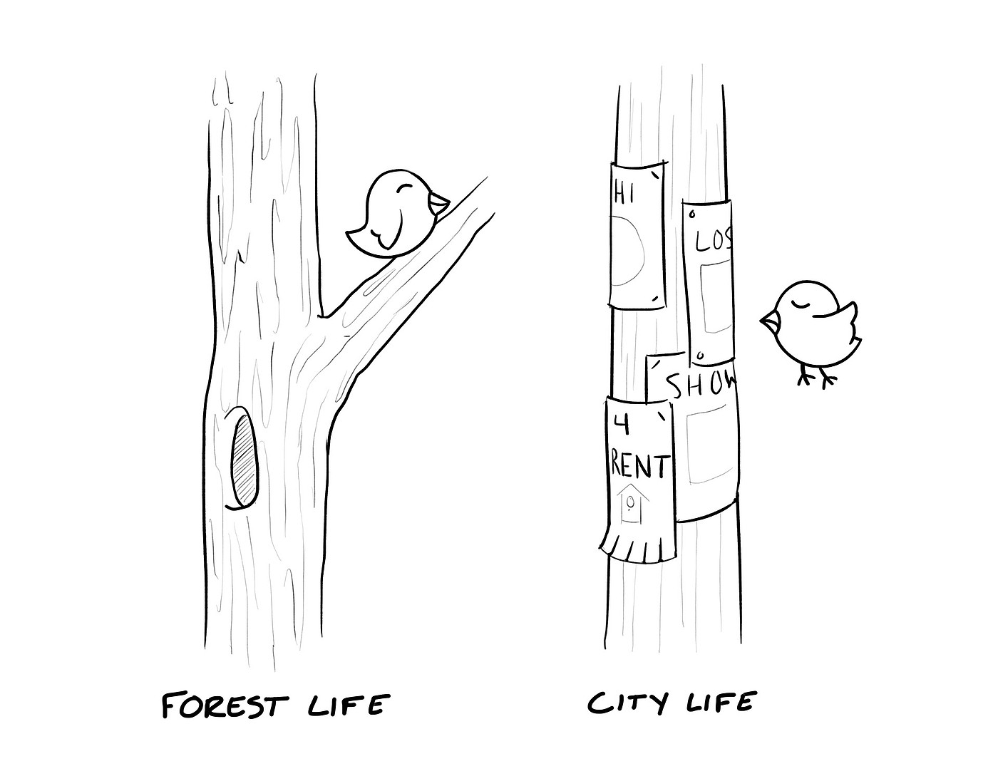 product design，aviary，Flyers，