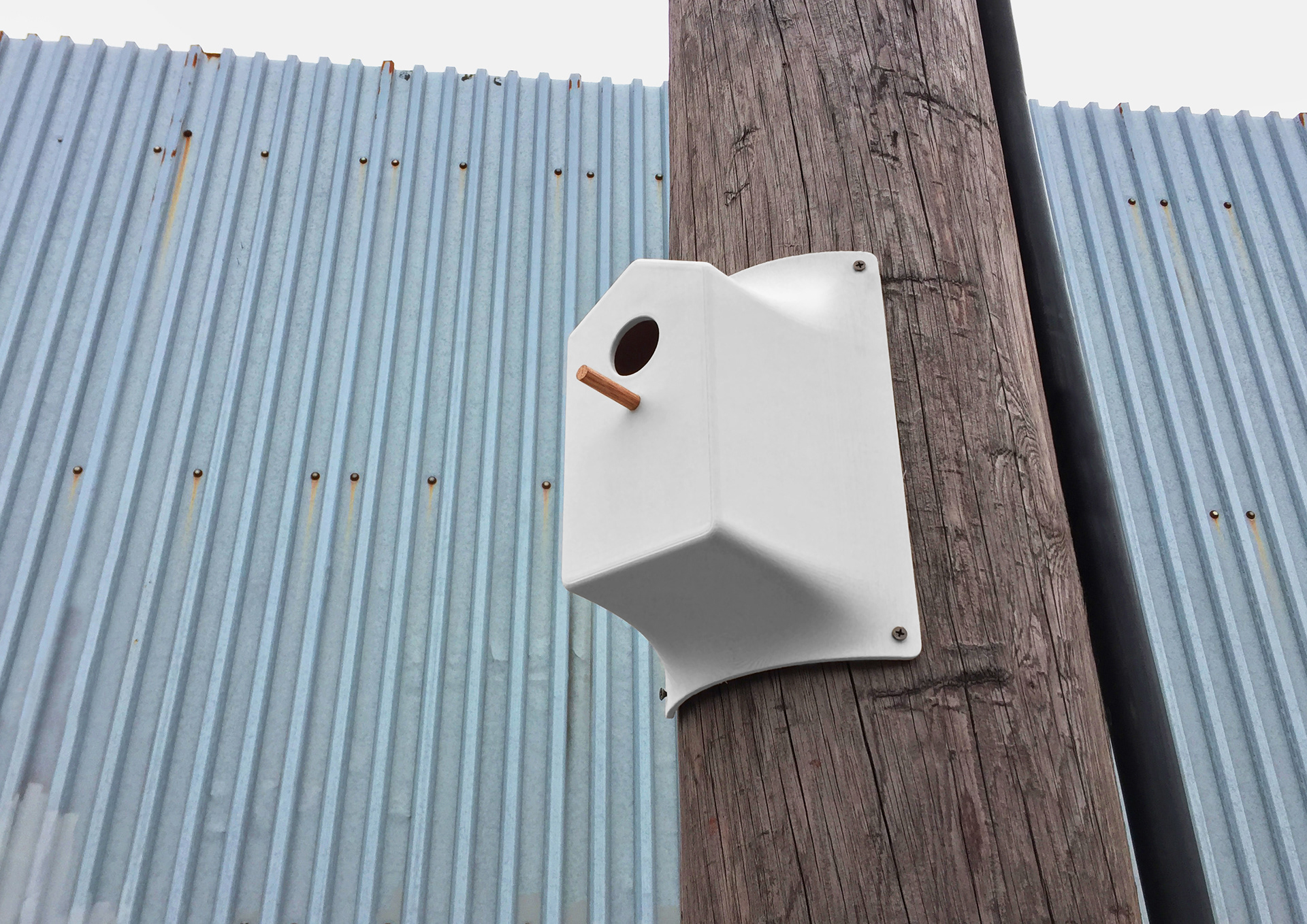 product design，aviary，Flyers，