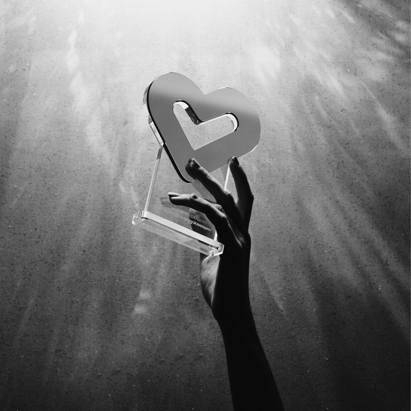 trophy，Ornaments，Tooba，industrial design，