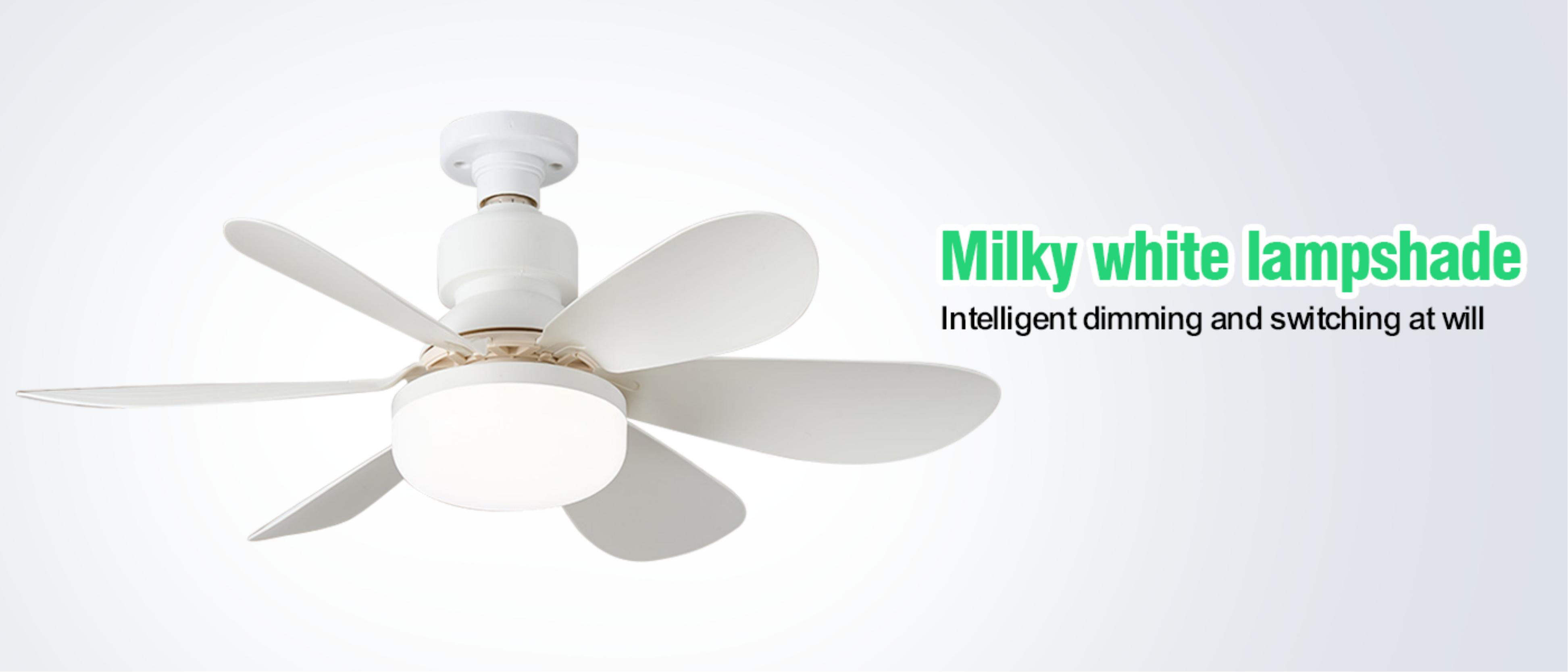 Fan lamp，ceiling fan lamp，Home furnishing，Summer Fan Light，Furniture decoration fan，