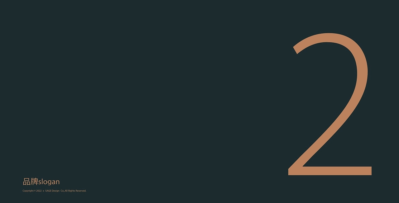 Packaging Design of Cordyceps Health Tea，Health Tea Gift Box Packaging Design，Cordyceps gift box packaging design，