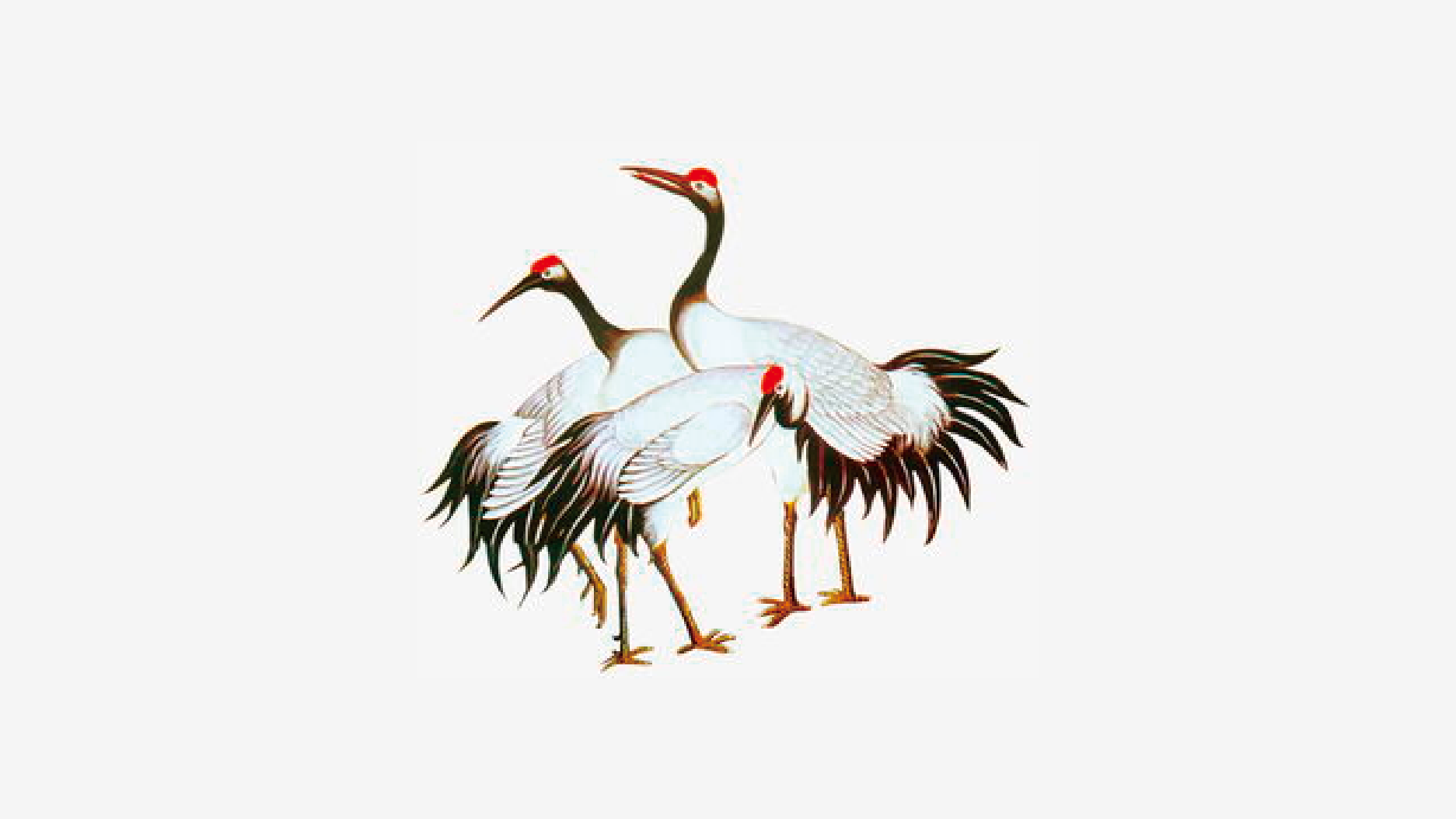 Yellow rice wine brand，Graphic Artist Designer，Brand design，Logo design，packing design，