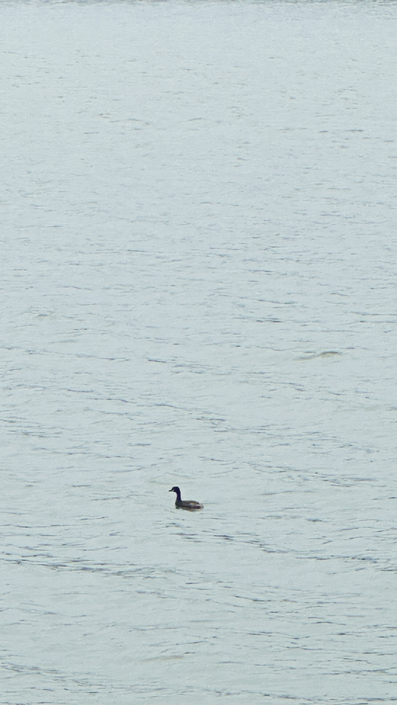 casual environment，