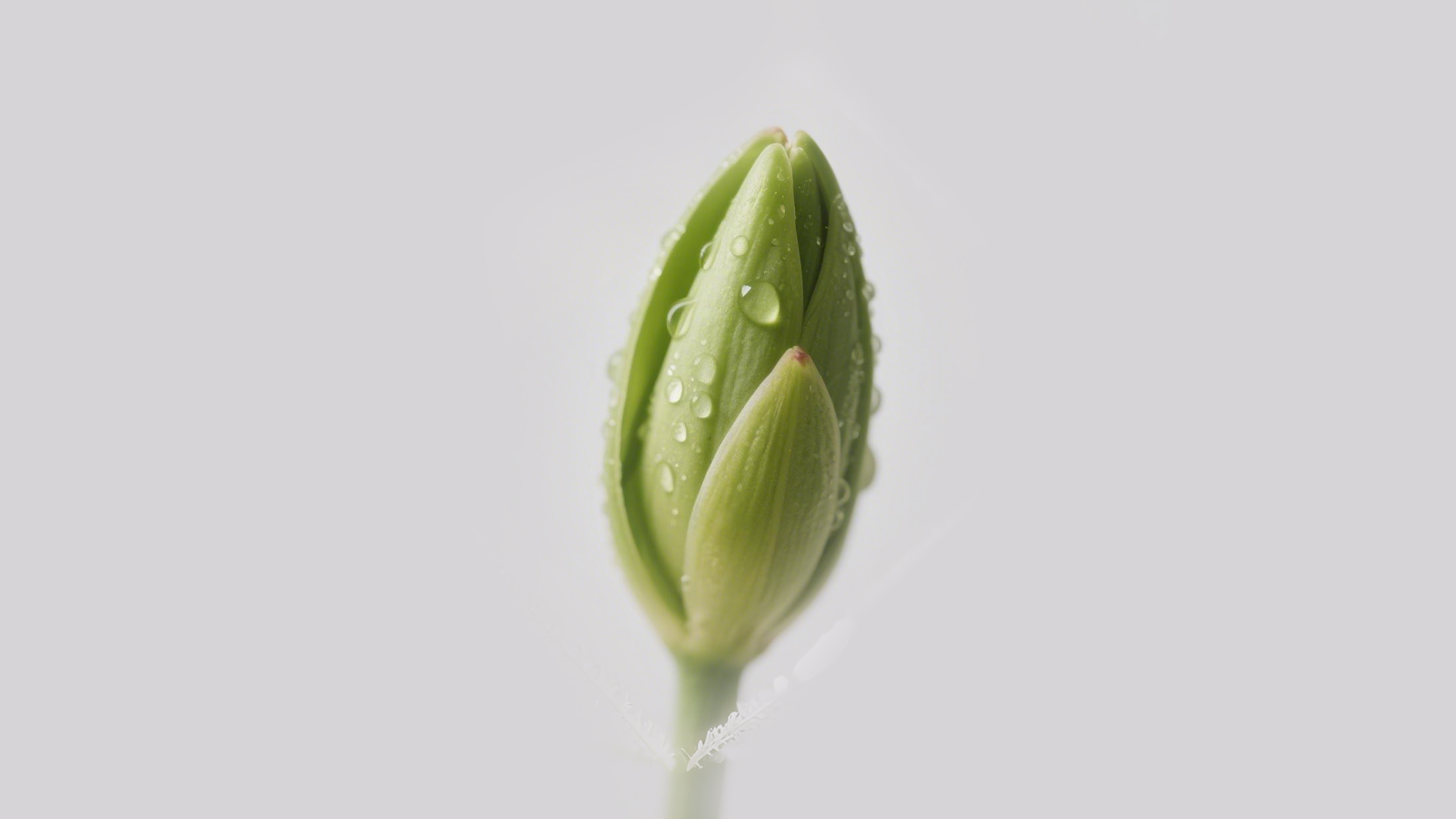 Gehu，Medical products，Handheld products，Blood glucose meter，