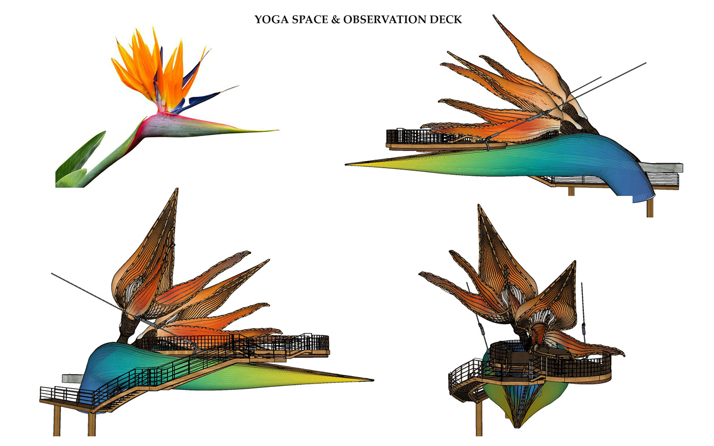 Viewing platform，Viewing experience，Hilltop，Observation，