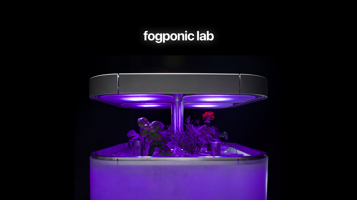 Hydroponic culture，orchard，Agriculture，workmanship，