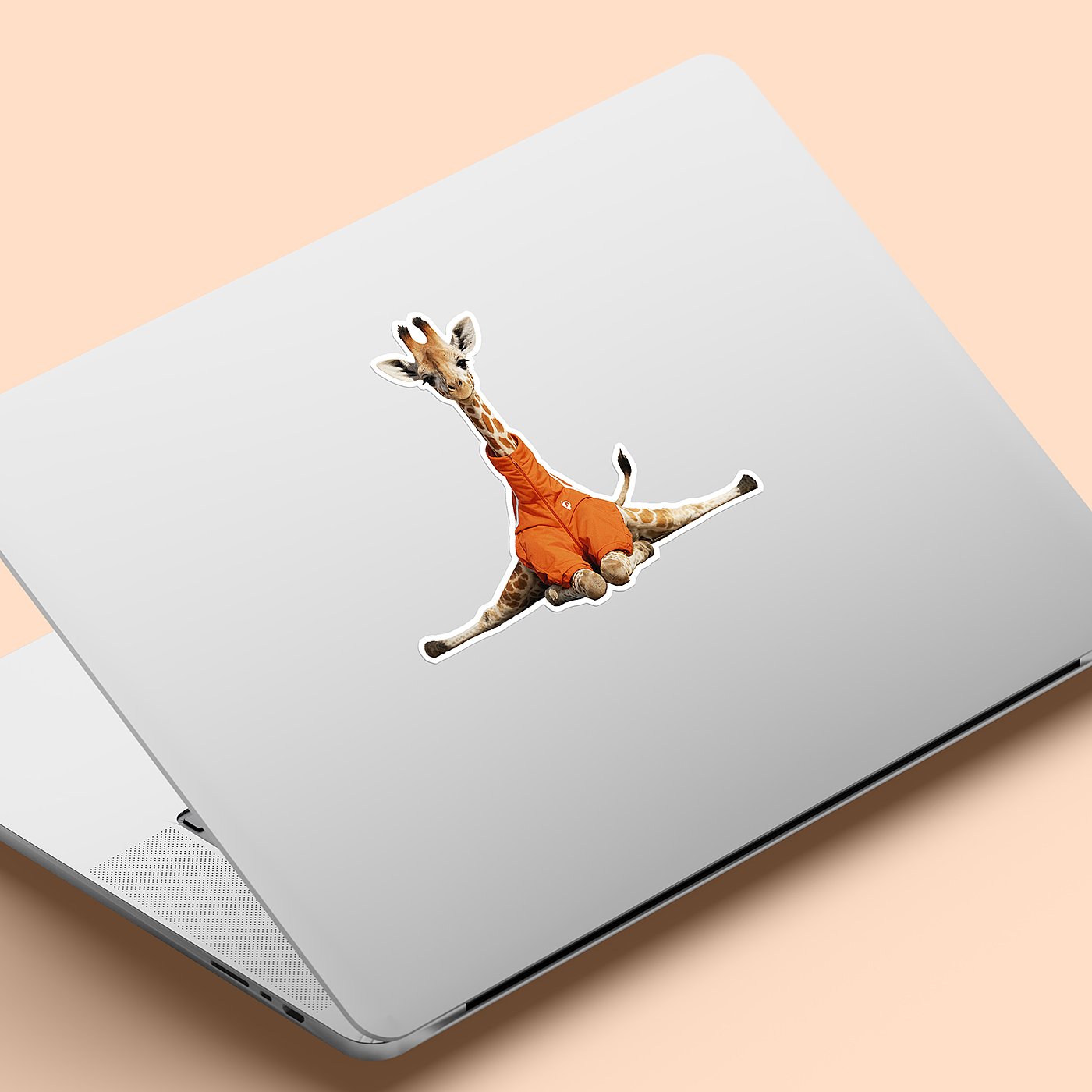 Storytelling，Animal Illustration，Sticker collection，