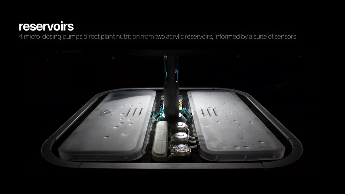 Hydroponic culture，orchard，Agriculture，workmanship，