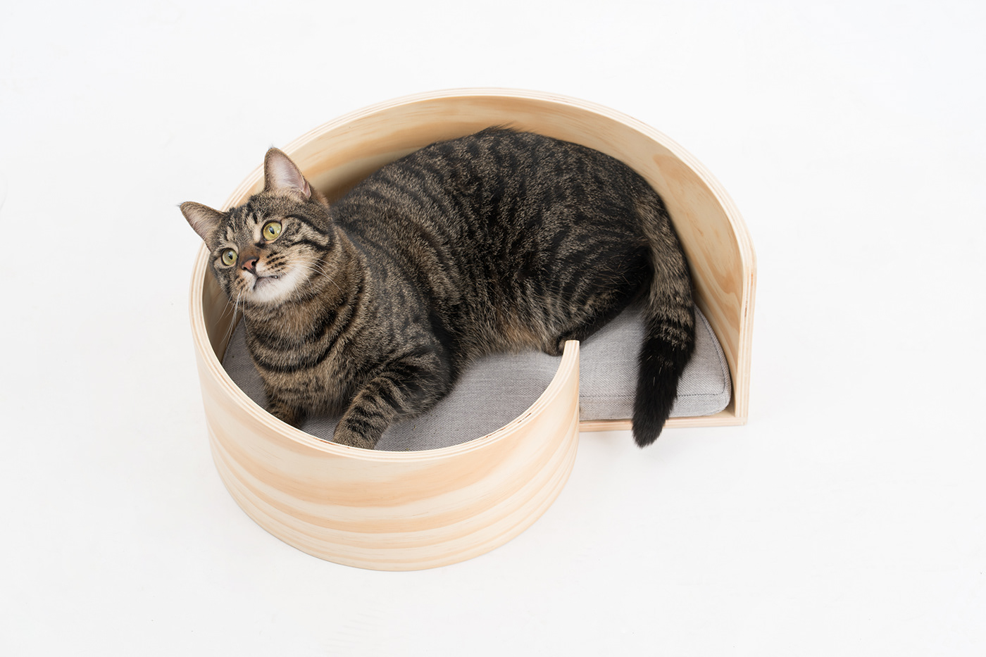 Kitty，cat，Pet Supplies & Pet，Pet surroundings，ball，small bell，Cat fighting ball，Cake，Cage drawer，Cylindrical modeling，Bamboo，steamer，