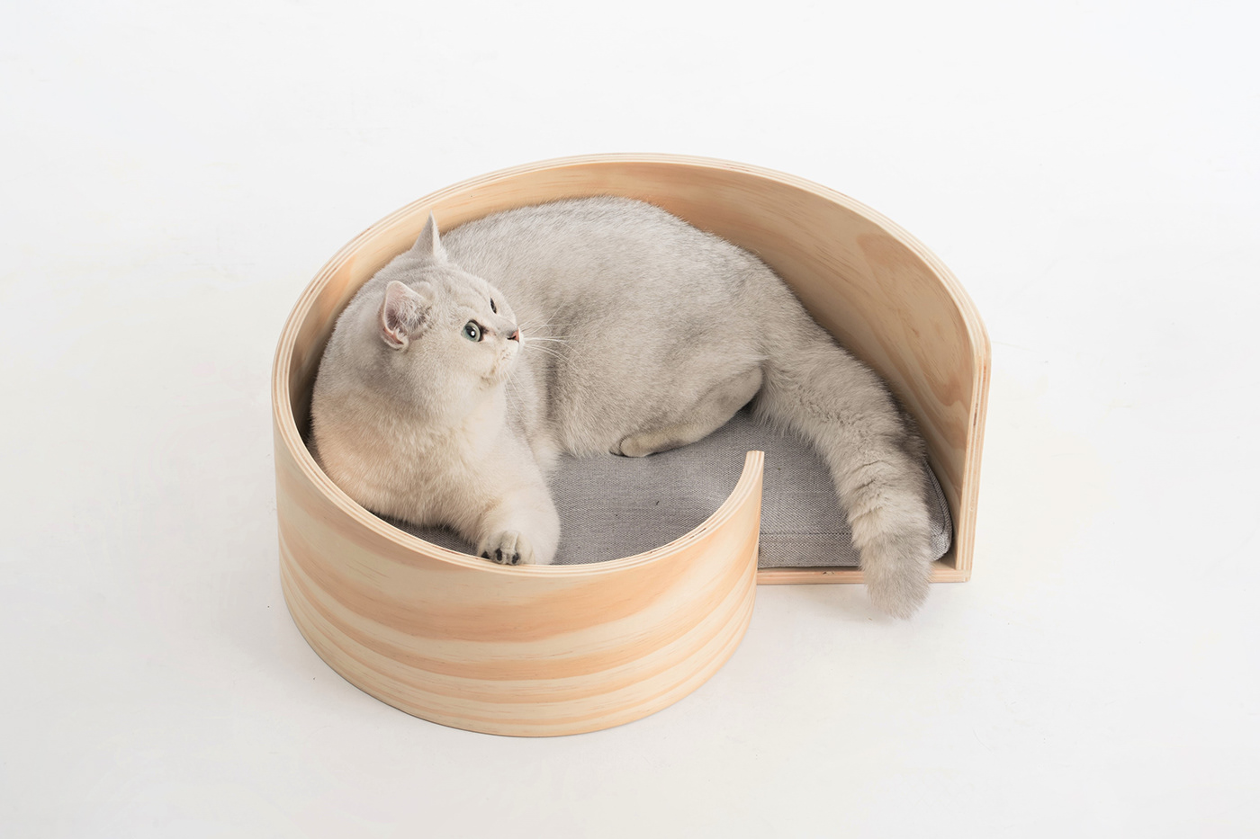 Kitty，cat，Pet Supplies & Pet，Pet surroundings，ball，small bell，Cat fighting ball，Cake，Cage drawer，Cylindrical modeling，Bamboo，steamer，