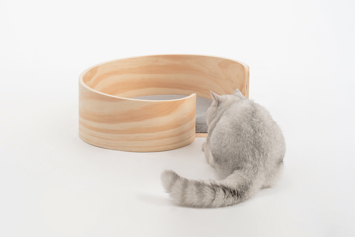 Kitty，cat，Pet Supplies & Pet，Pet surroundings，ball，small bell，Cat fighting ball，Cake，Cage drawer，Cylindrical modeling，Bamboo，steamer，