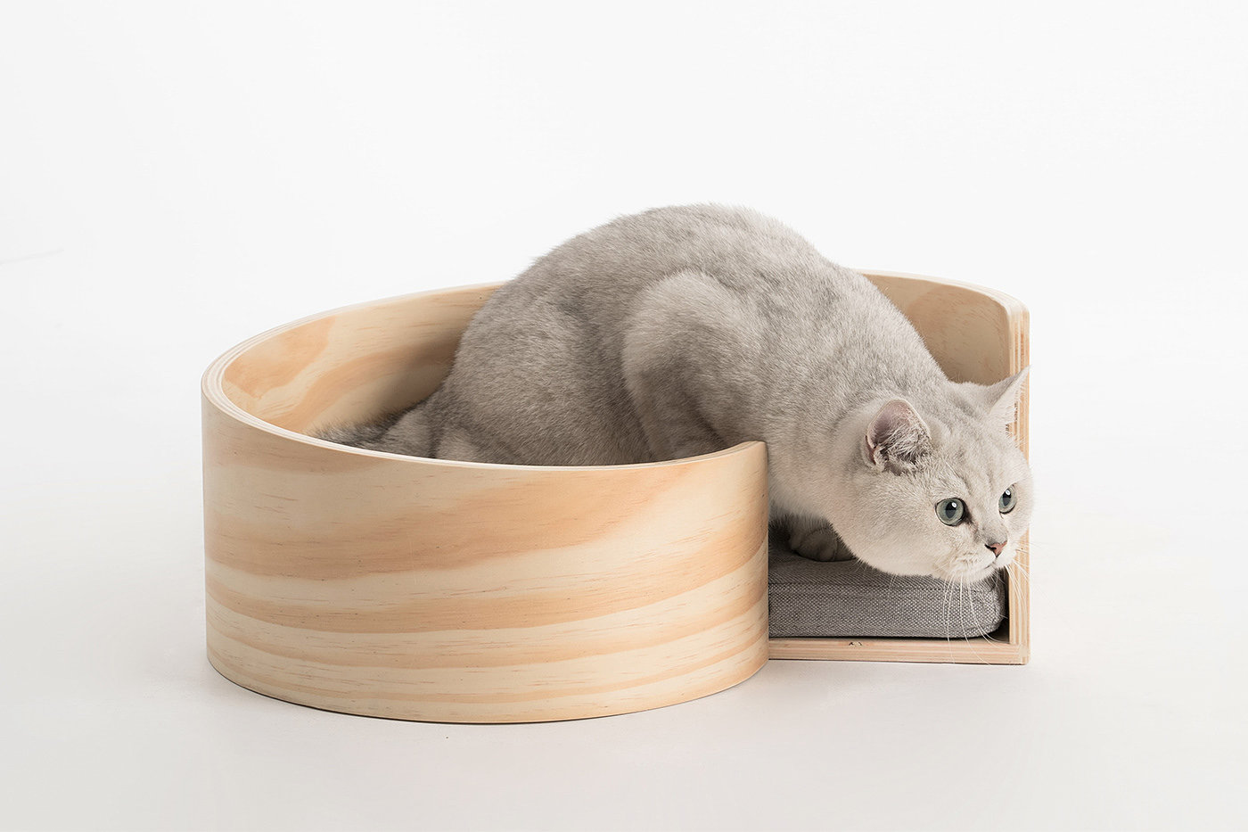 Kitty，cat，Pet Supplies & Pet，Pet surroundings，ball，small bell，Cat fighting ball，Cake，Cage drawer，Cylindrical modeling，Bamboo，steamer，