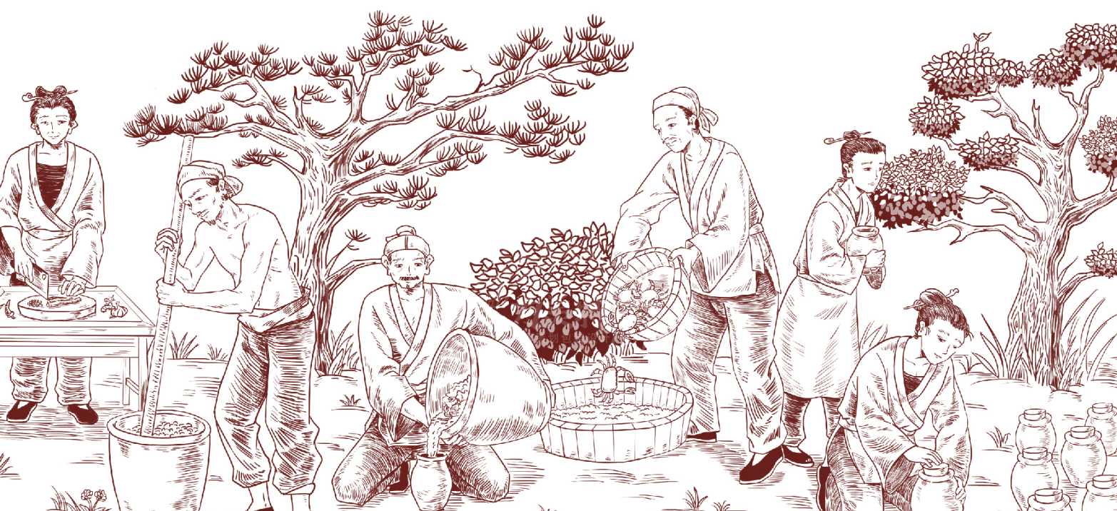 packing design，food，Chengdu Packaging，Seasoning，originality，