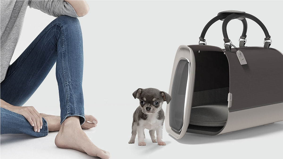 Box，case，PDFHaus，Pets，