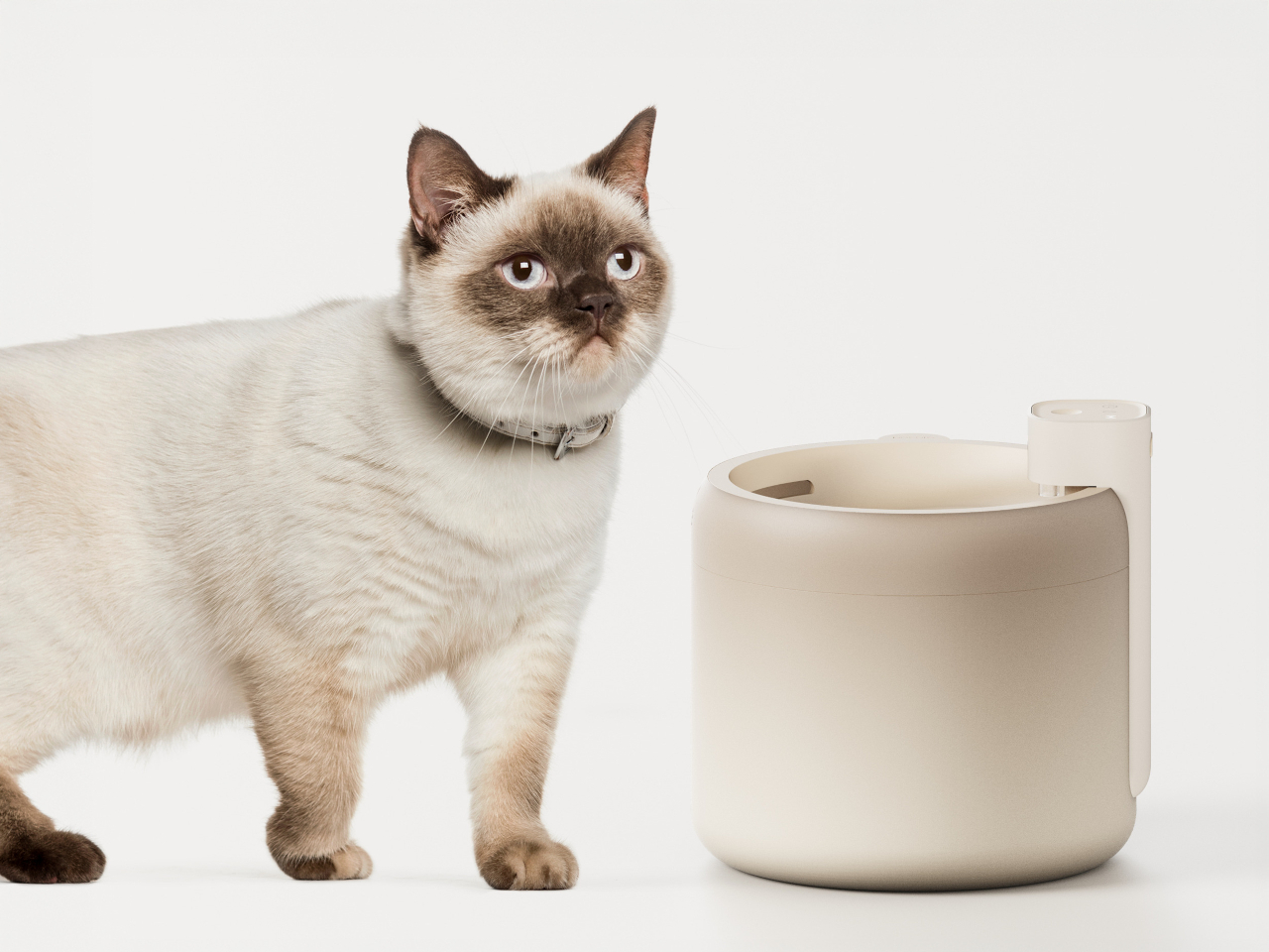 Pocoro，Intelligent water dispenser，Pet Supplies & Pet，originality，