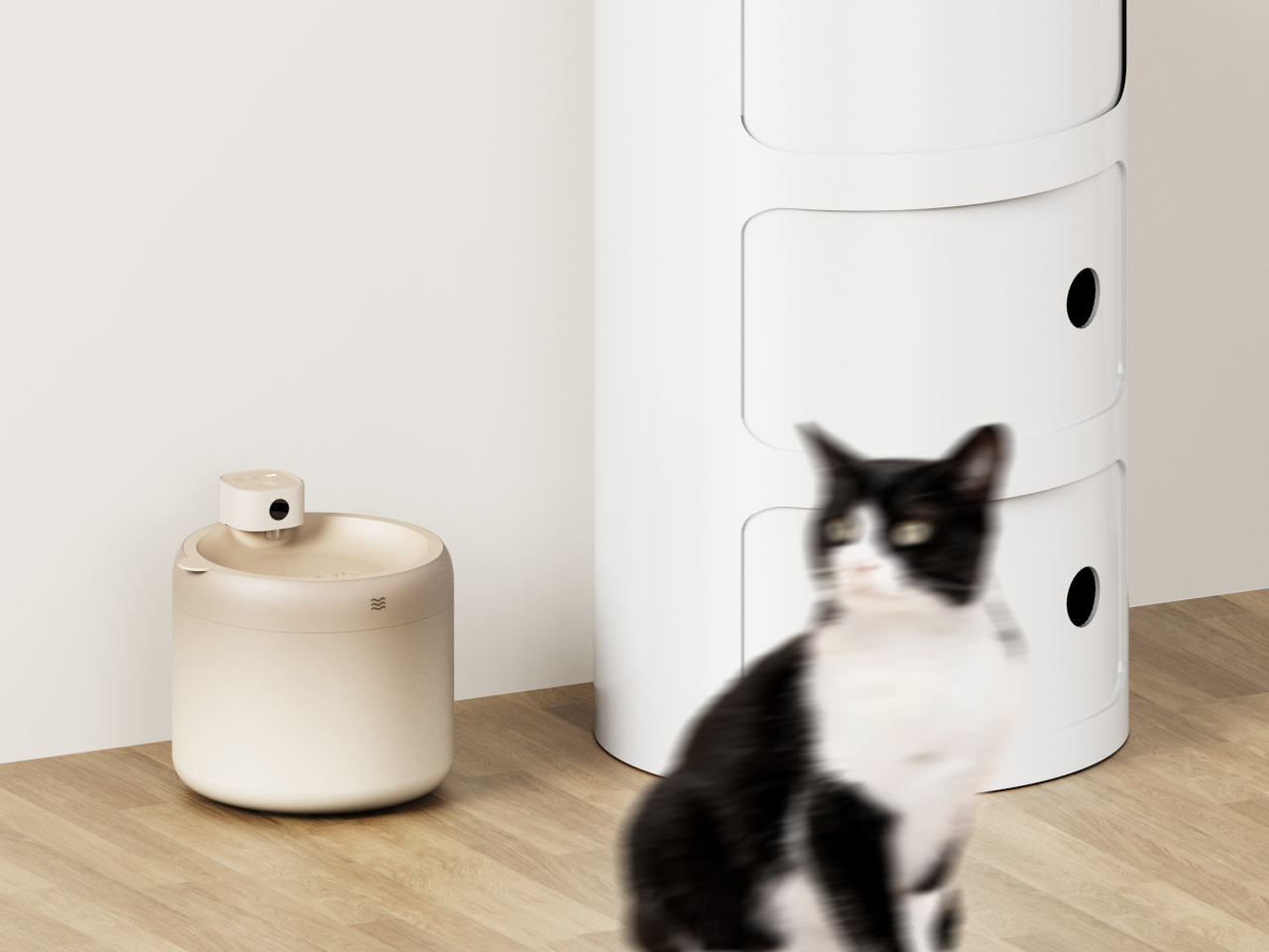 Pocoro，Intelligent water dispenser，Pet Supplies & Pet，originality，