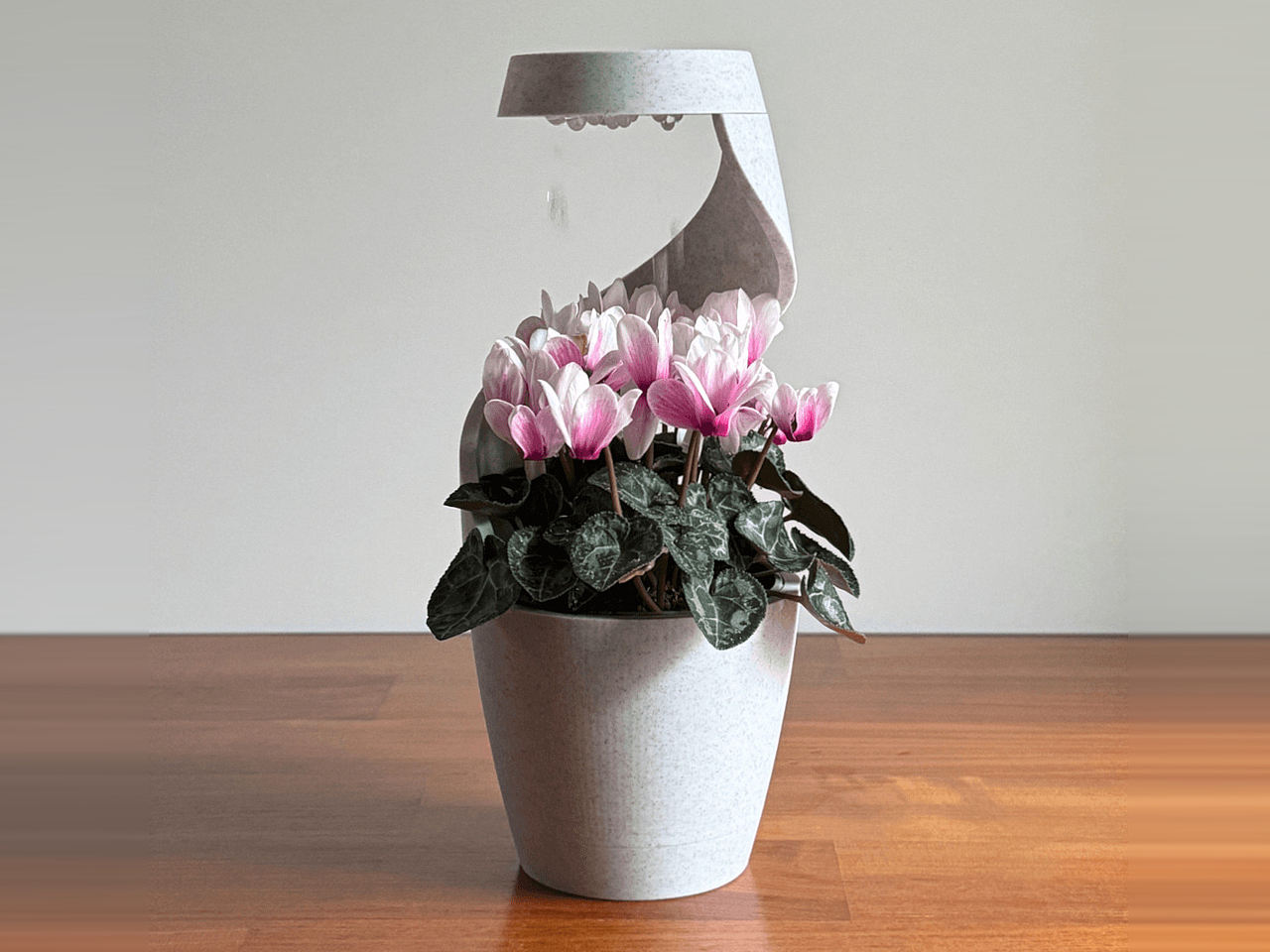 vase，3D printing，Housewear & Furnishings，originality，