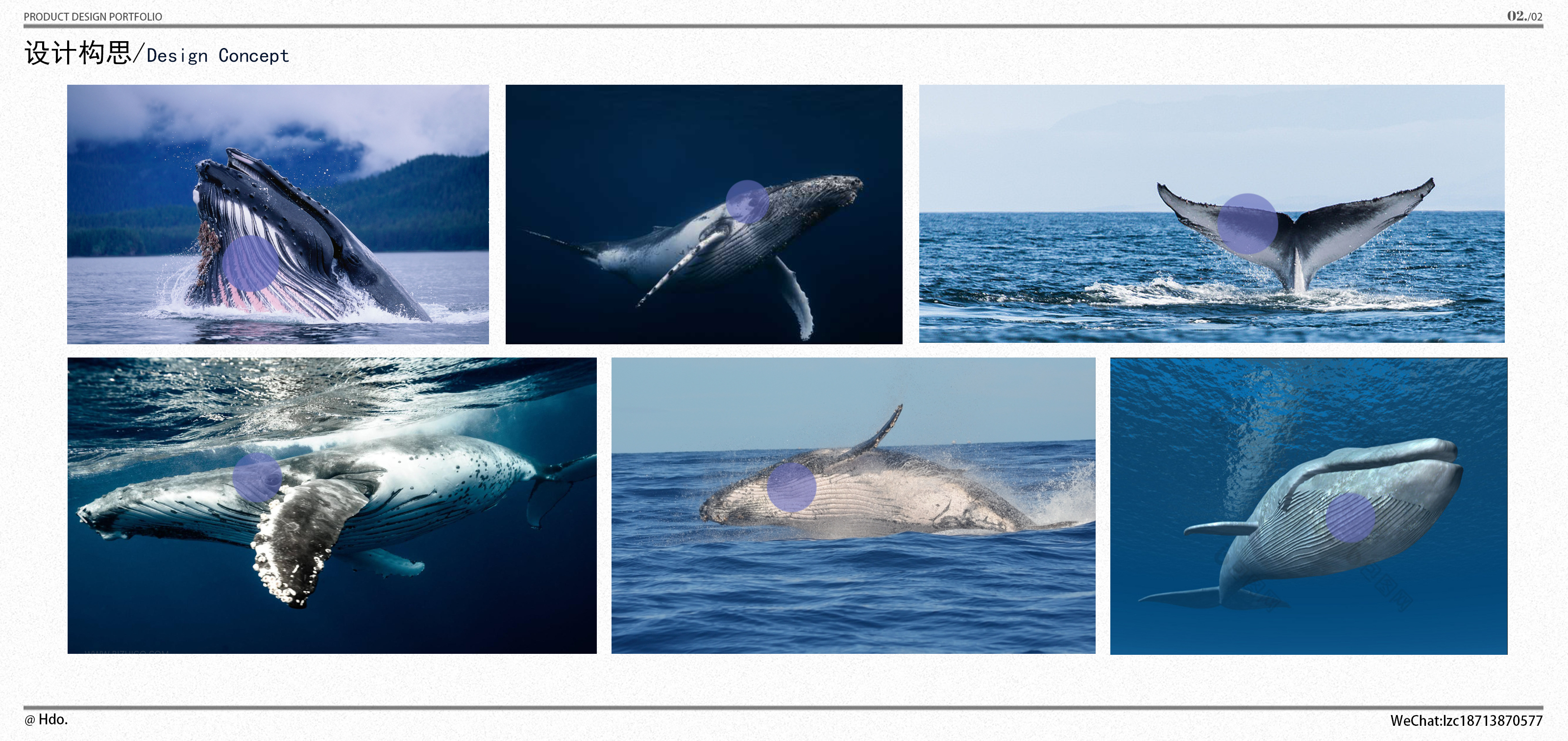 college student，product design，job-hunting，