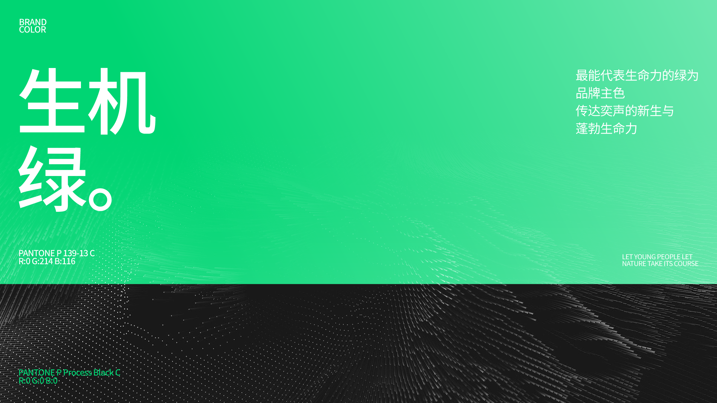 Brand design，Brand case，Logo design，VI design，Brand upgrade，Earphone design，Audio design，Bluetooth headset，