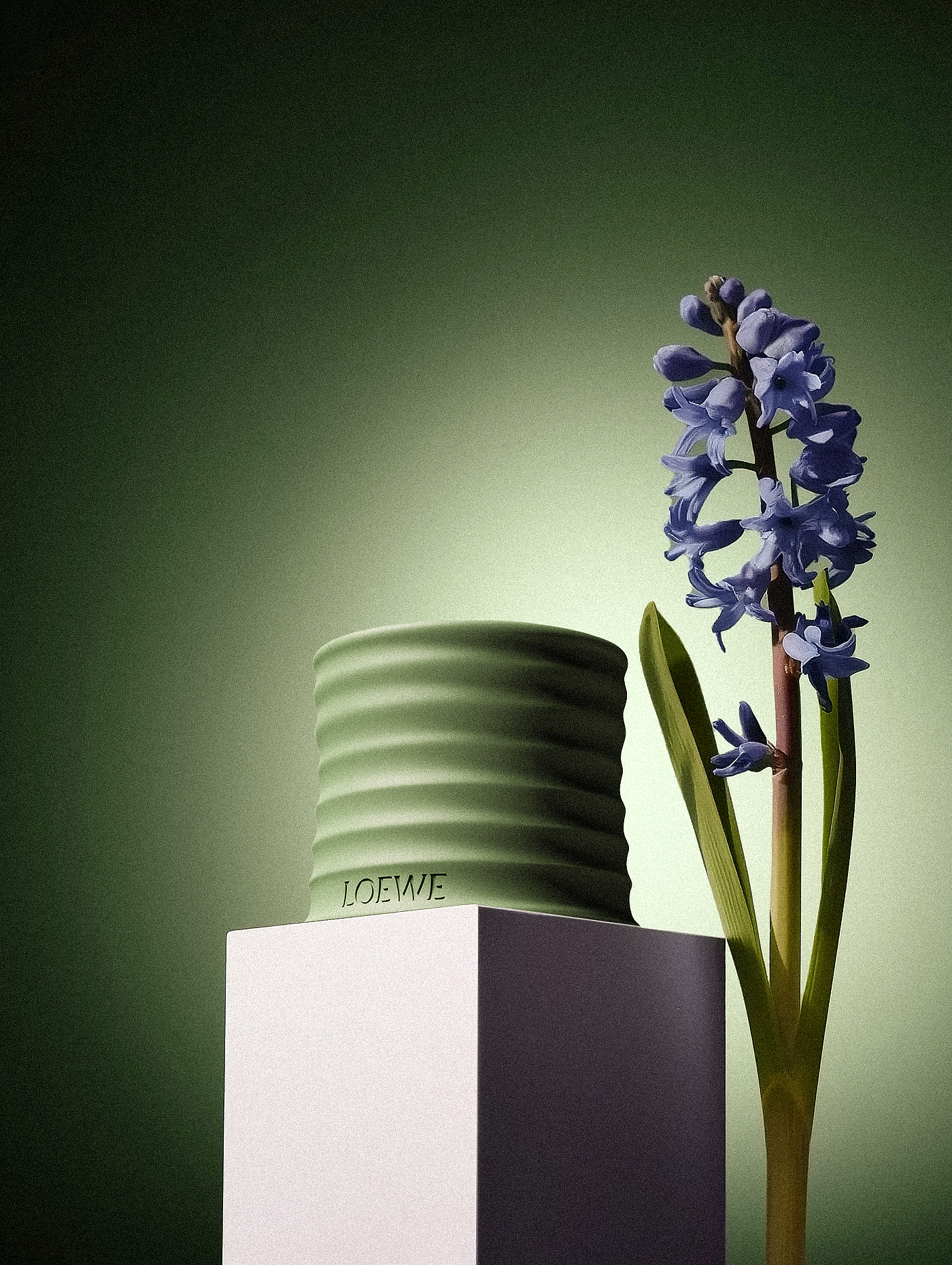 ai，AI Product Photography，xyz laboratory，Aromatherapy，still-life photography，Scented candles，Loewe，Aromatherapy Photography，