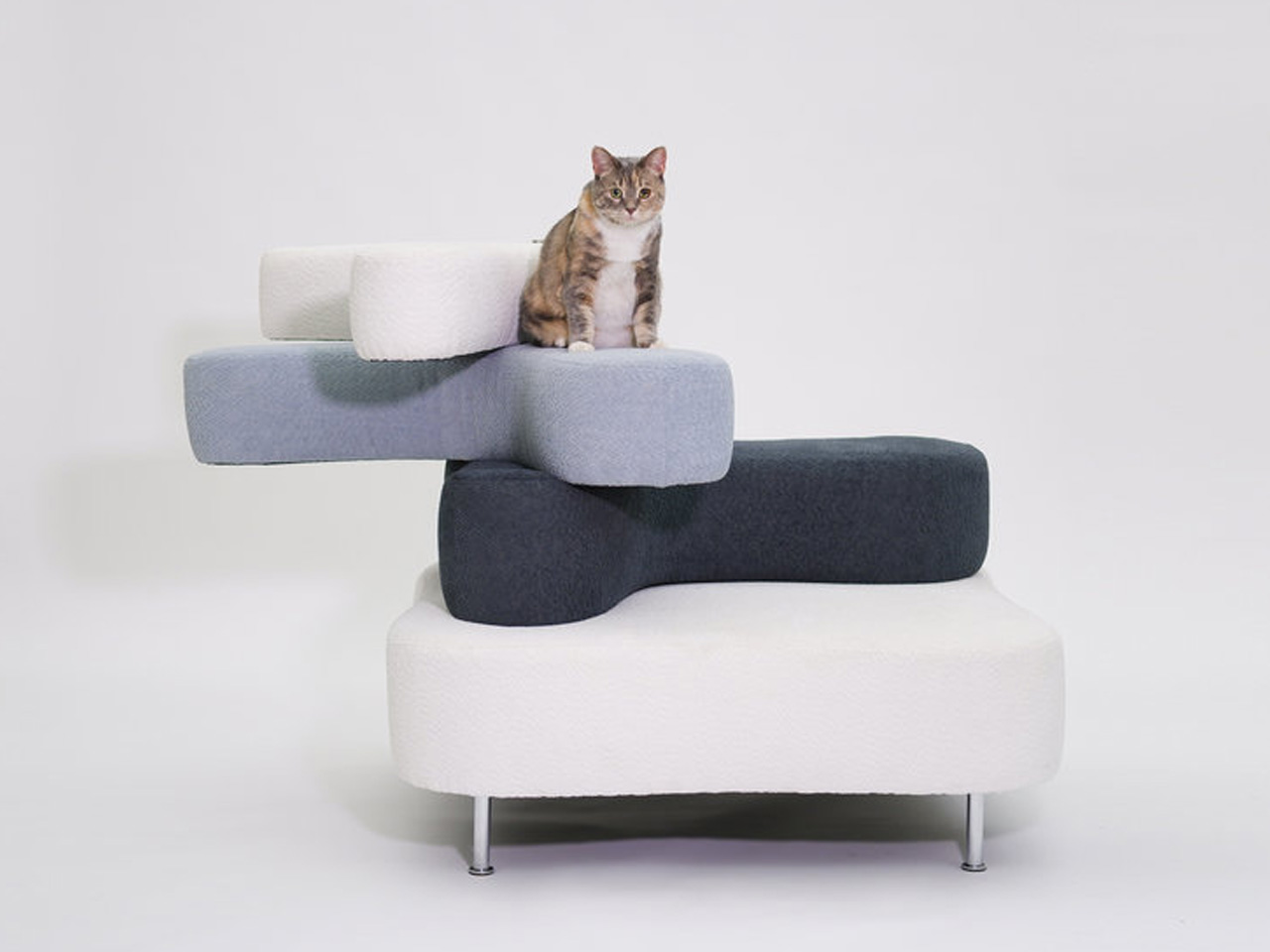 Meowtain，furniture，originality，Pet furniture，