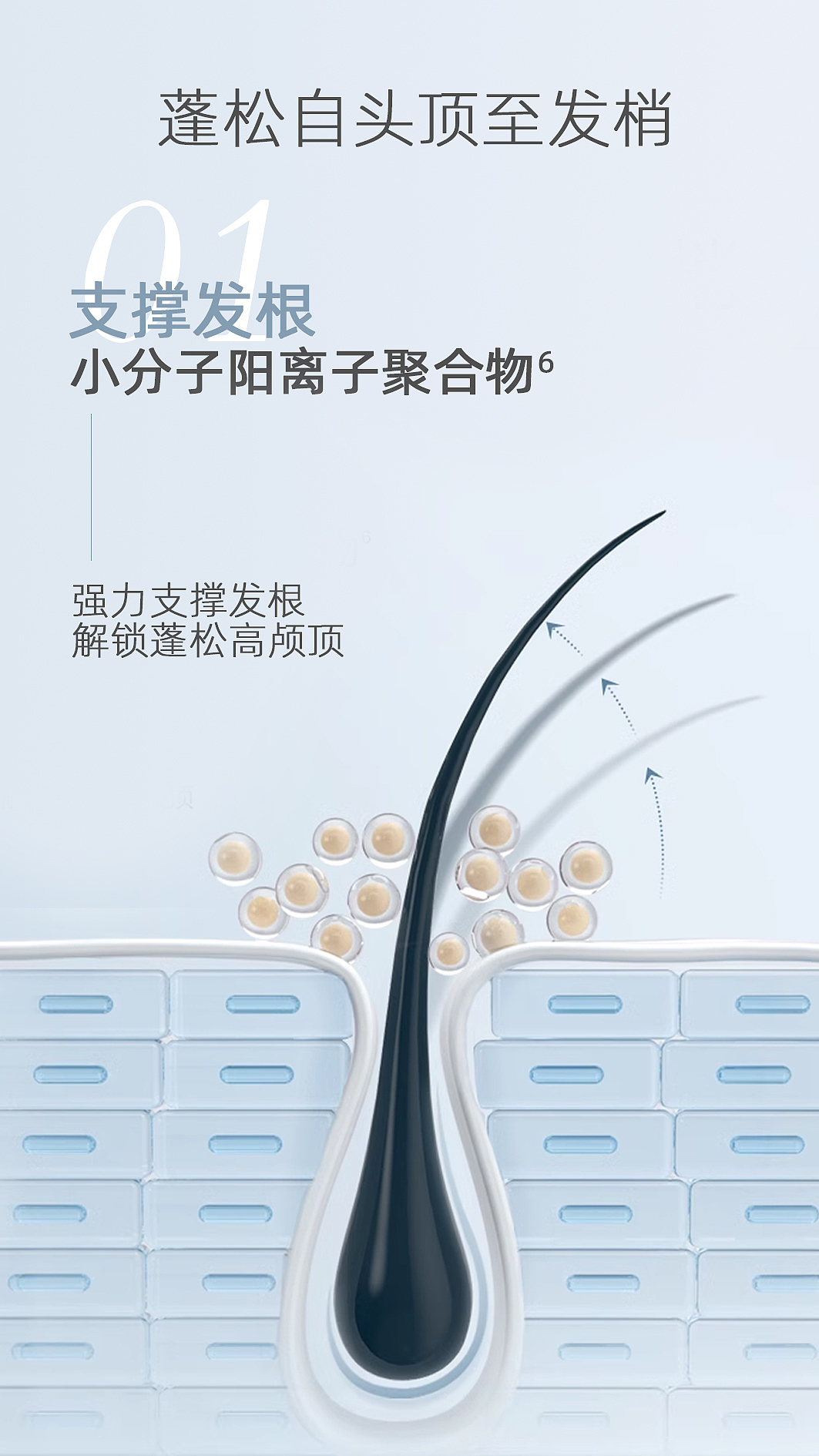 product design，packing design，E-commerce rendering，Detail page design，Product Promotion Effect Diagram，