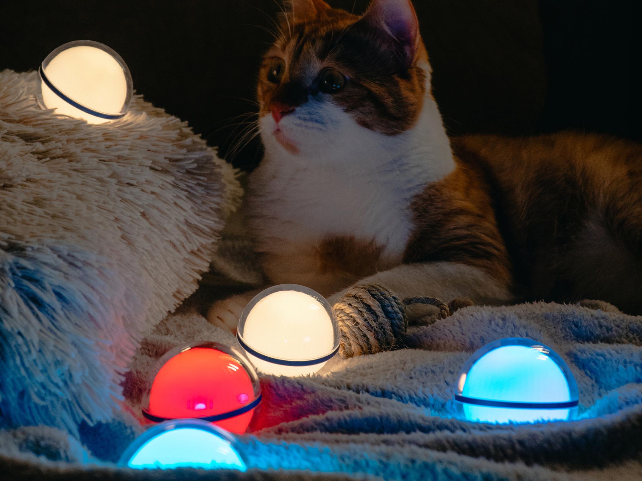 If Award，Red dot award，Award declaration，lighting design ，Lamp design，Zhejiang One Point，One Point Design，